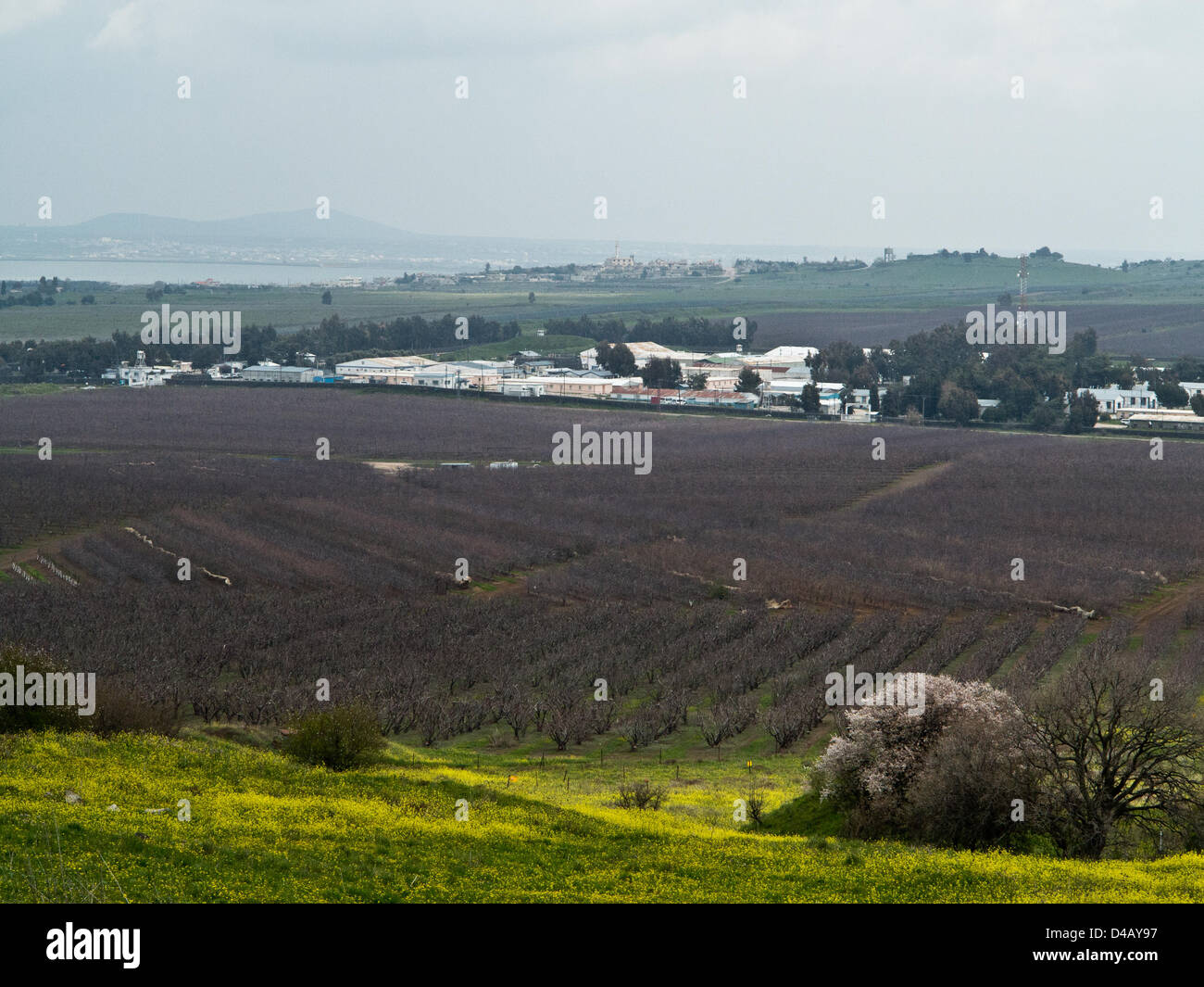 Il confine Israeli-Syrian rimane tranquilla nonostante il siriano sollevazione contro il presidente Bashar Al-Assad. Sede UNDOF sono visibili nella metà del suolo dopo il rilascio di 21 soldati UNDOF dai ribelli siriani. Alture del Golan, Israele. 10-Mar-2013. Una vista della frontiera Israeli-Syrian sulle alture del Golan illustra campi agricoli sul lato israeliano in primo piano la sede UNDOF e città siriana di Quneitra oltre il 1974 Linea di cessate il fuoco. Foto Stock