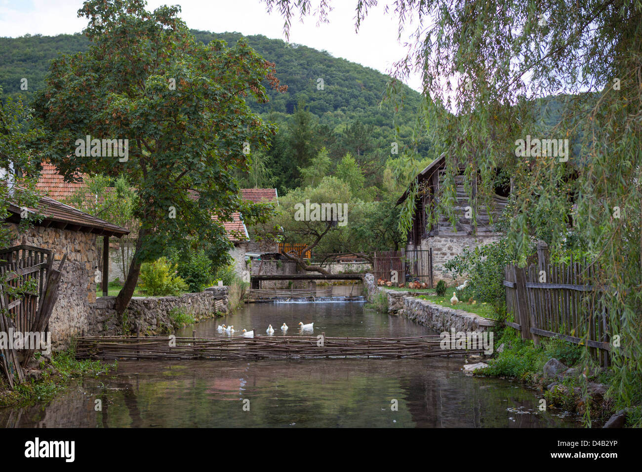 Hungarion idilliaco villaggio di campagna Josvato con un po' di Fiume Foto Stock