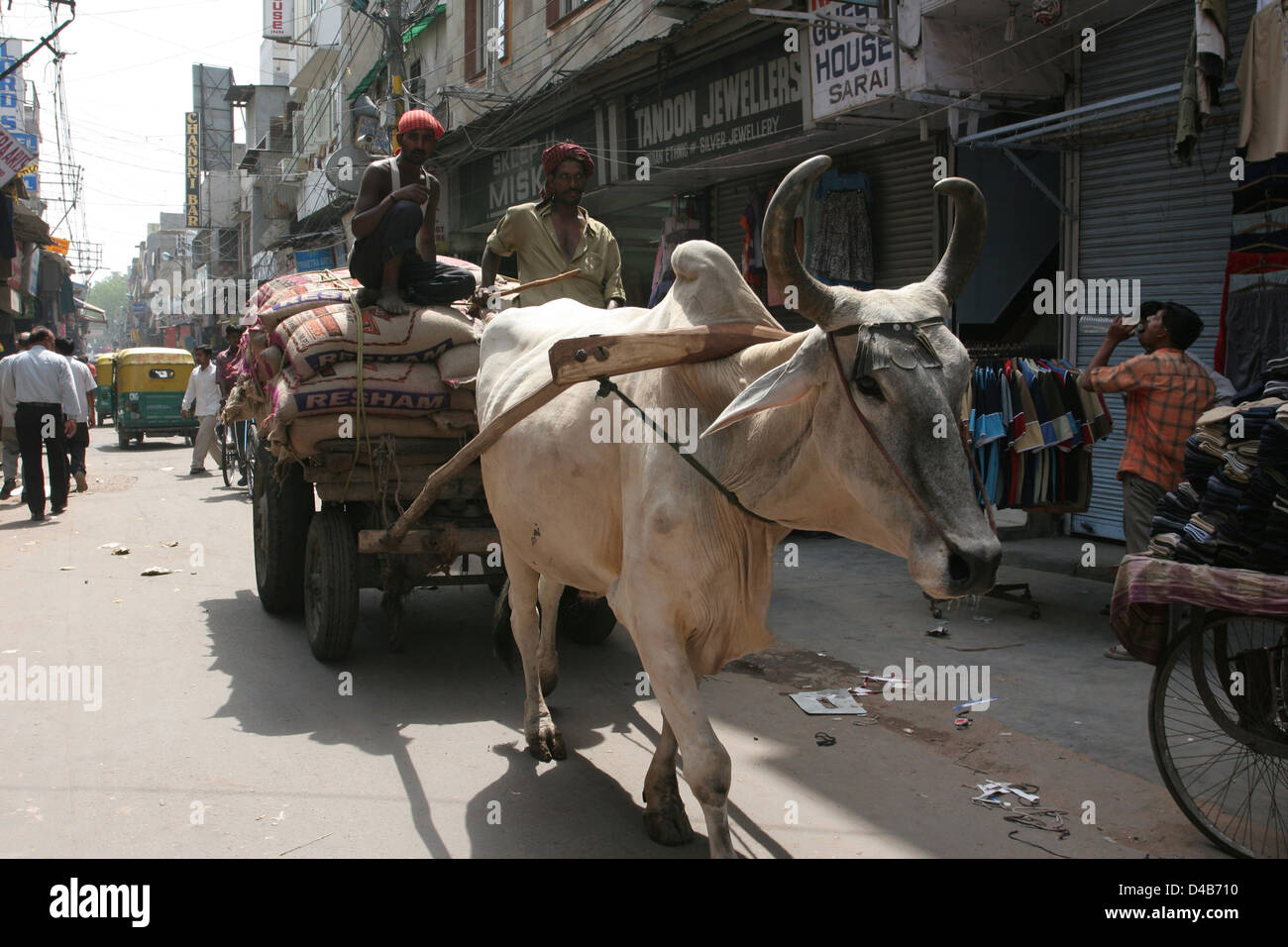 Un oxcart si muove attraverso il Paharganj Main Bazaar, New Delhi è un alloggio a basso costo area Foto Stock