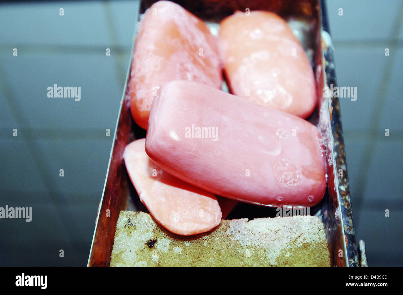 Close up di saponette nel vassoio, utilizzato dal personale del teatro prima e dopo la chirurgia Foto Stock
