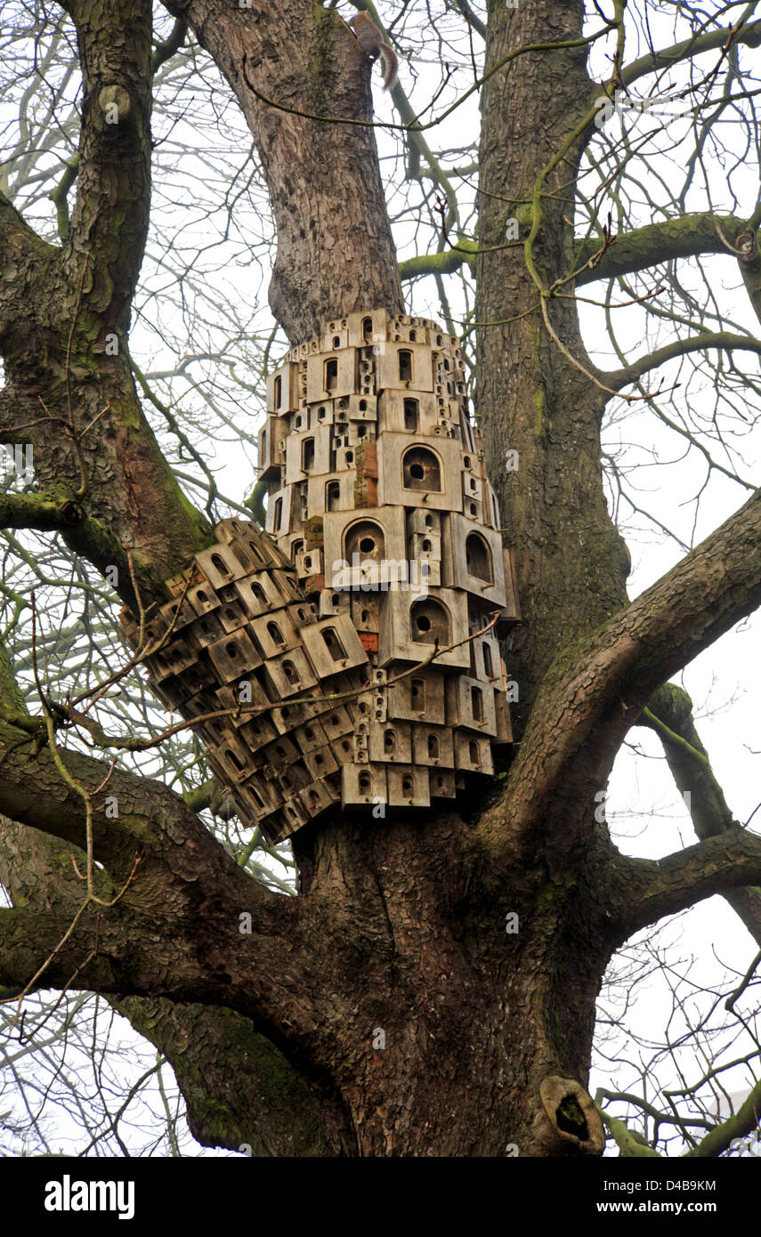 Un grande gruppo di uccelli di nesting scatole da Riverside Walk a Norwich, Norfolk, Inghilterra, Regno Unito. Foto Stock