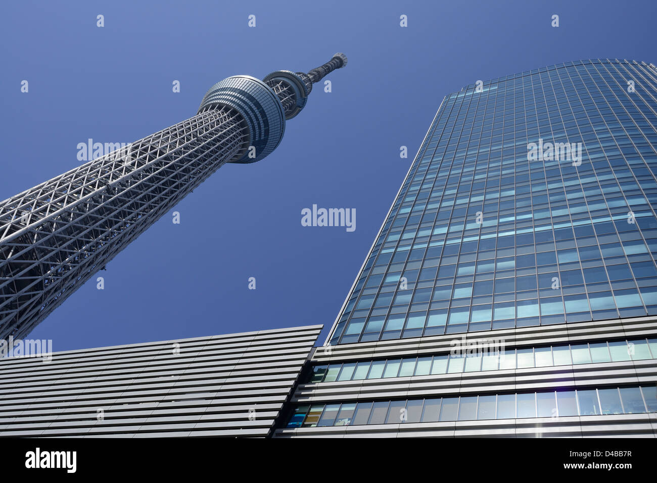 Tokyo Skytree, Sumida-ku, Tokyo, Giappone Foto Stock