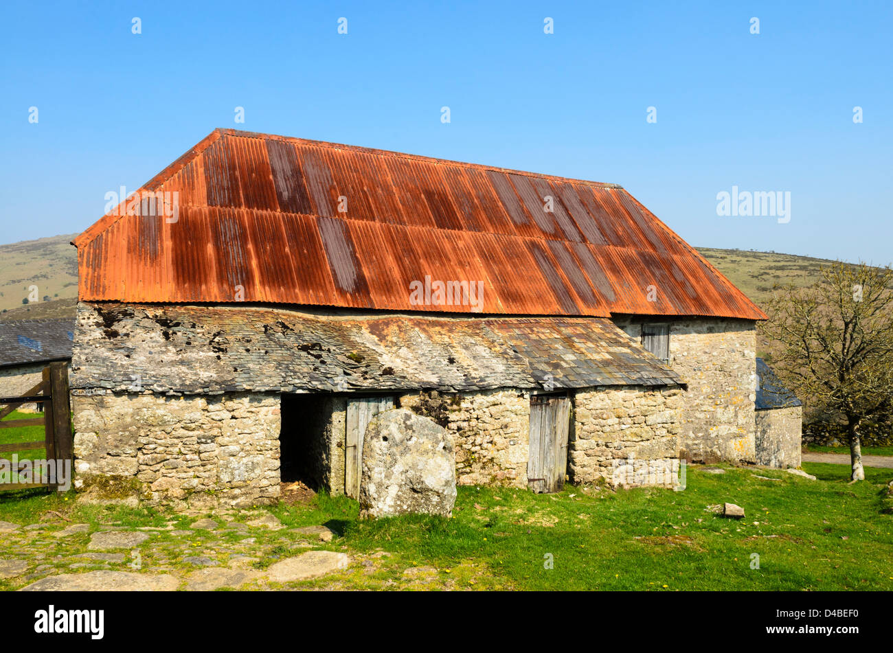 Un vecchio fienile con un rosso di ferro ondulato sul tetto Dartmoor vicino Dartmeet, Devon, Inghilterra. Foto Stock