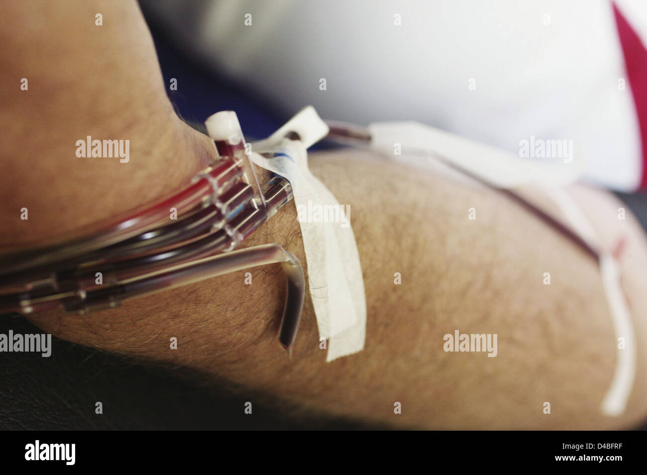 Tubi intorno al braccio di donatori di sangue di raccolta Foto Stock