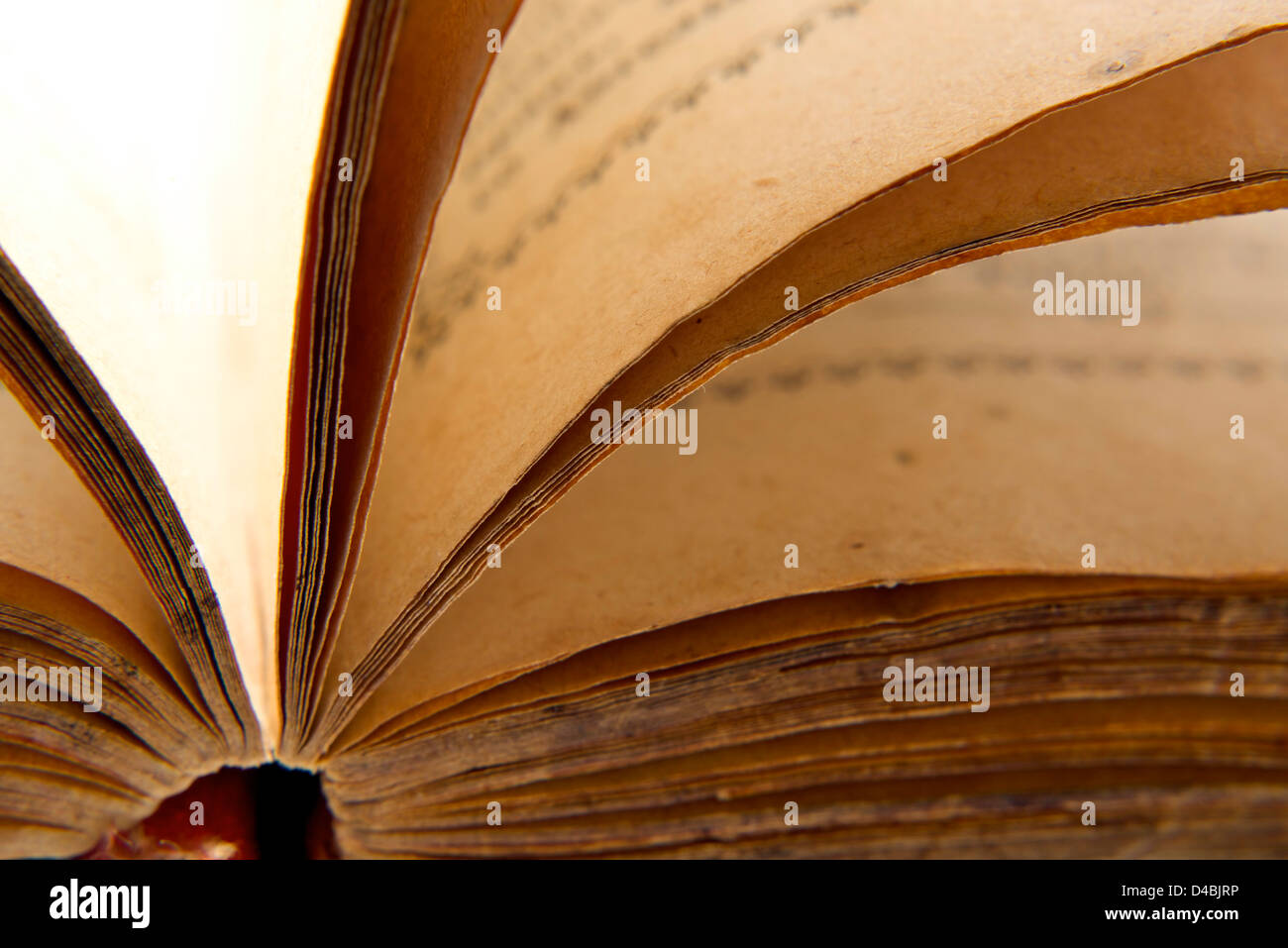 Macro di un aperto davvero vecchio libro Foto Stock