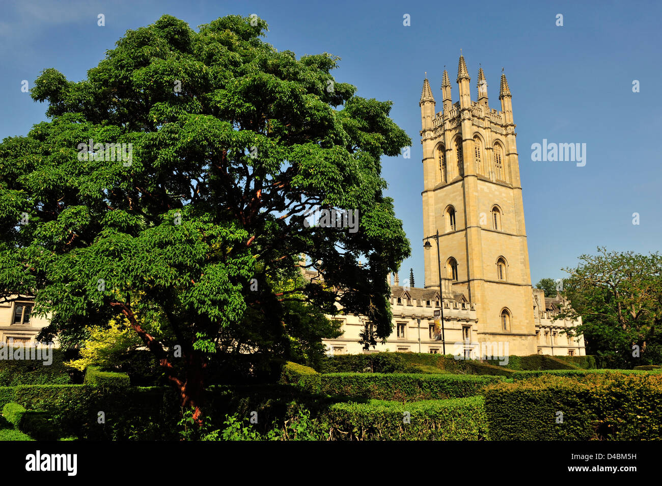 Vista dal Giardino Botanico Magdalen College di Oxford, Oxfordshire, England, Regno Unito Foto Stock