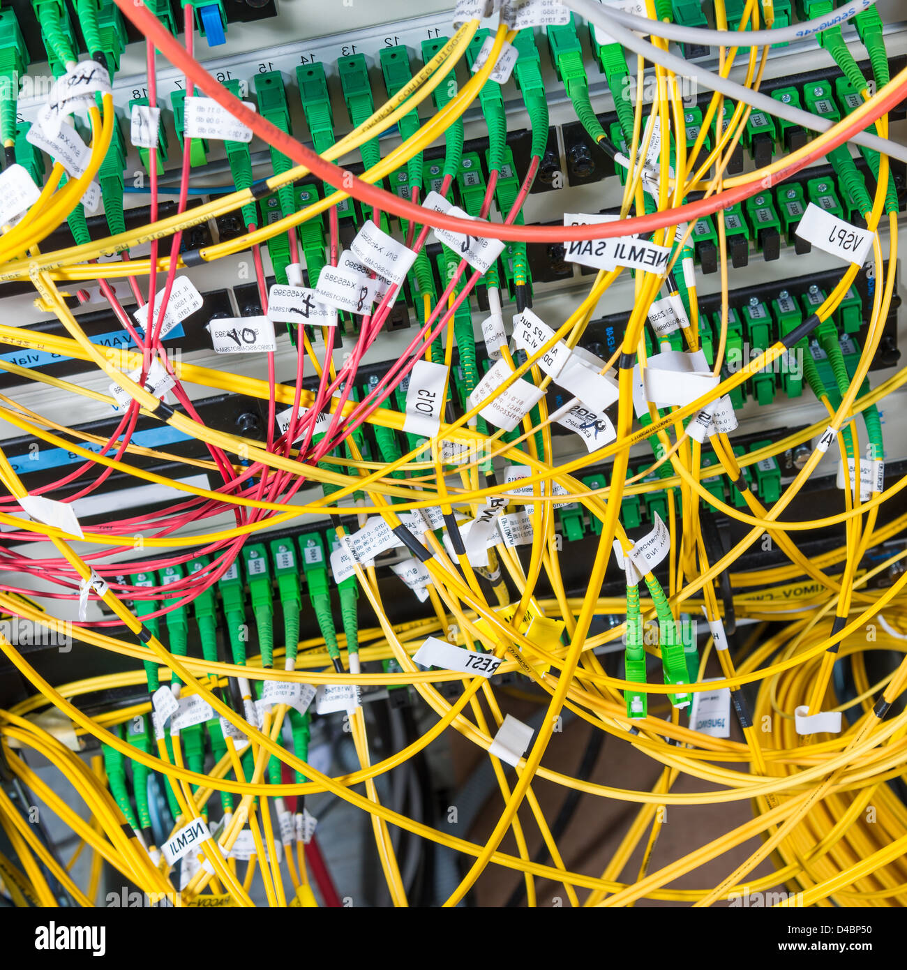 Server con cavi a fibra ottica nel centro dati Foto Stock