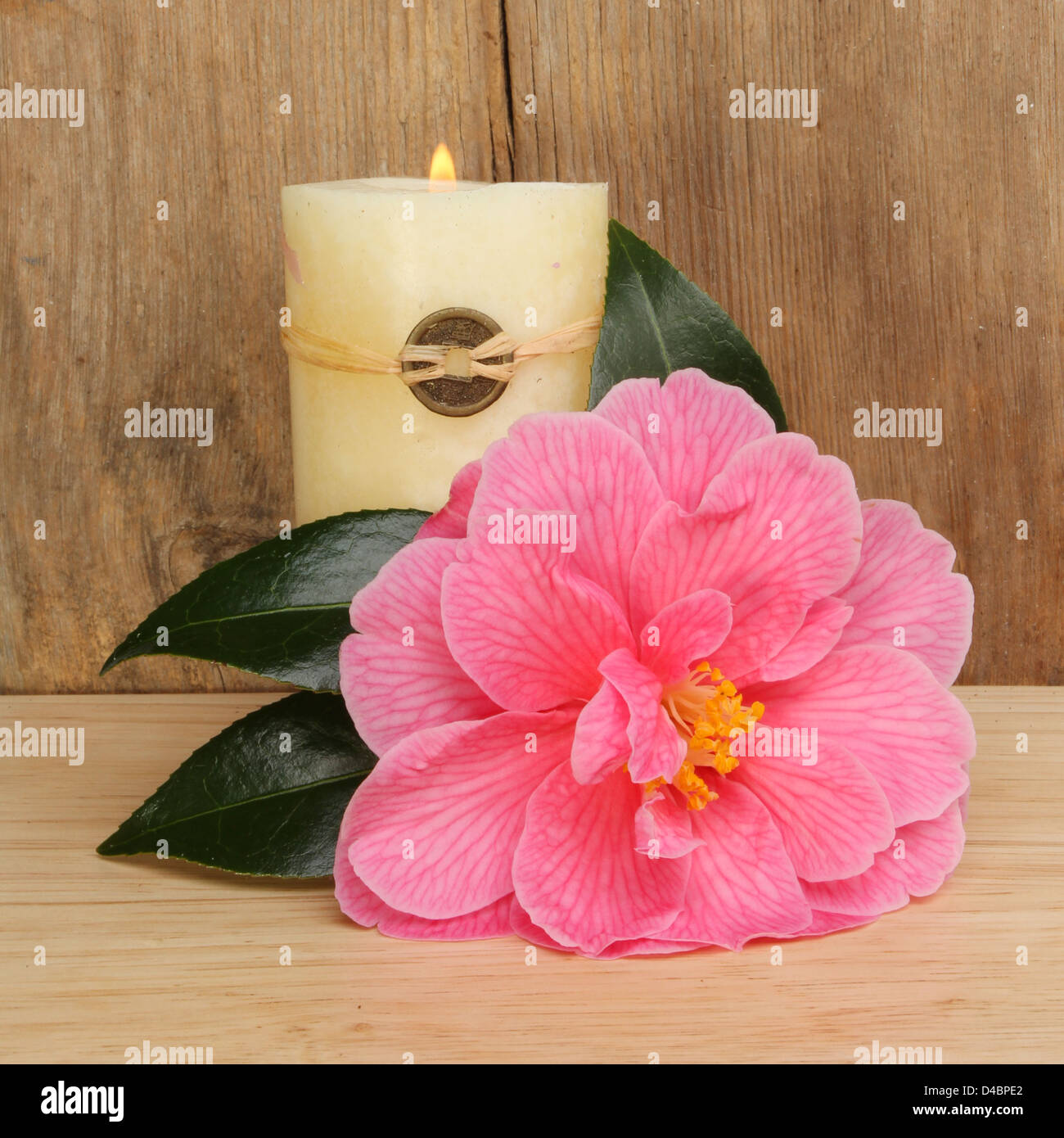 Camellia flower e bruciando il Feng Shui candela contro uno sfondo di legno Foto Stock