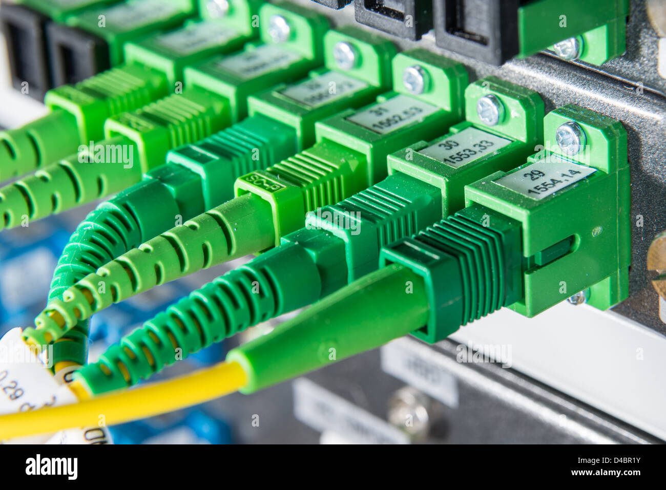 Server con cavi a fibra ottica nel centro dati Foto Stock