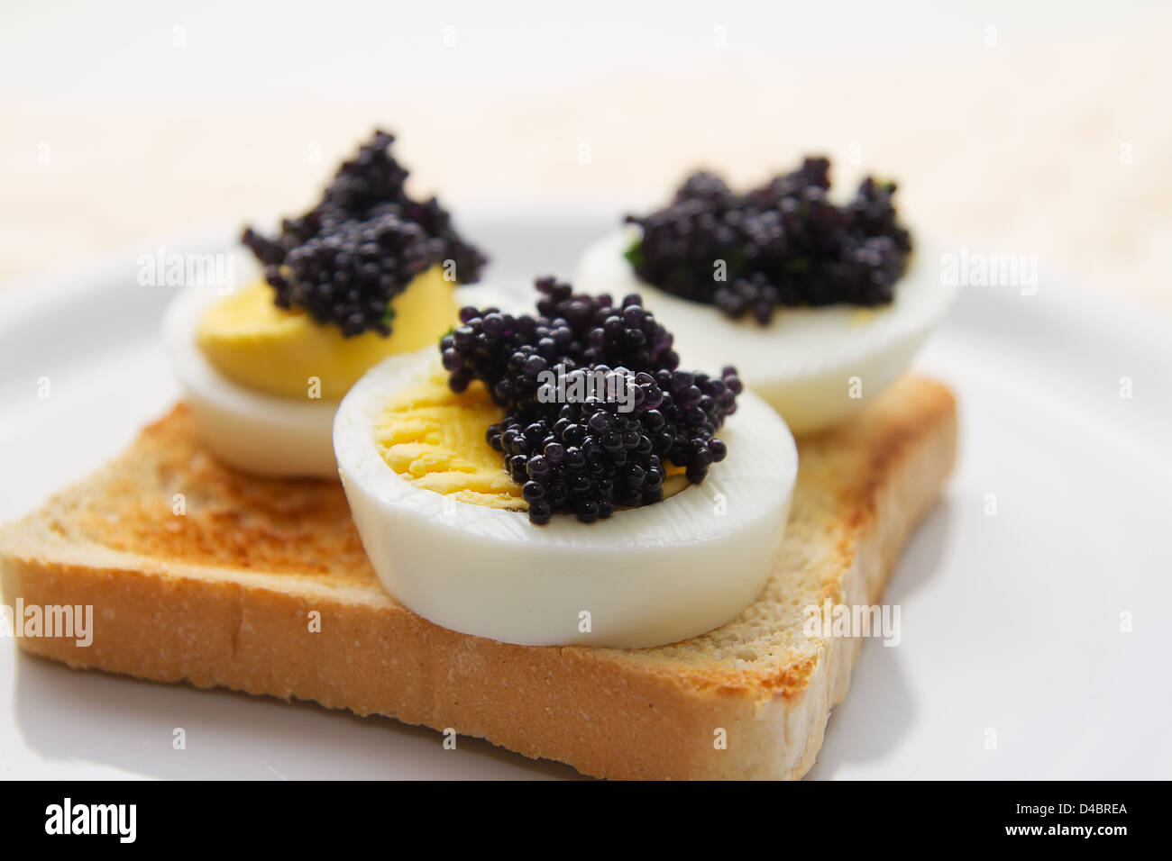 Il caviale con toast e uova Foto stock - Alamy