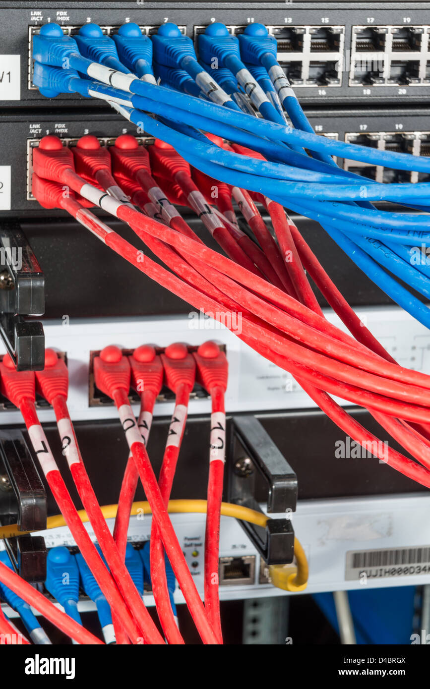 Close-up di hub di rete e i cavi ethernet Foto Stock