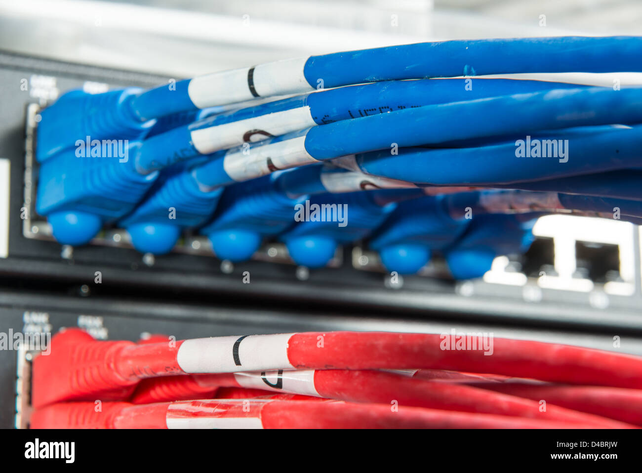 Close-up di hub di rete e i cavi ethernet Foto Stock
