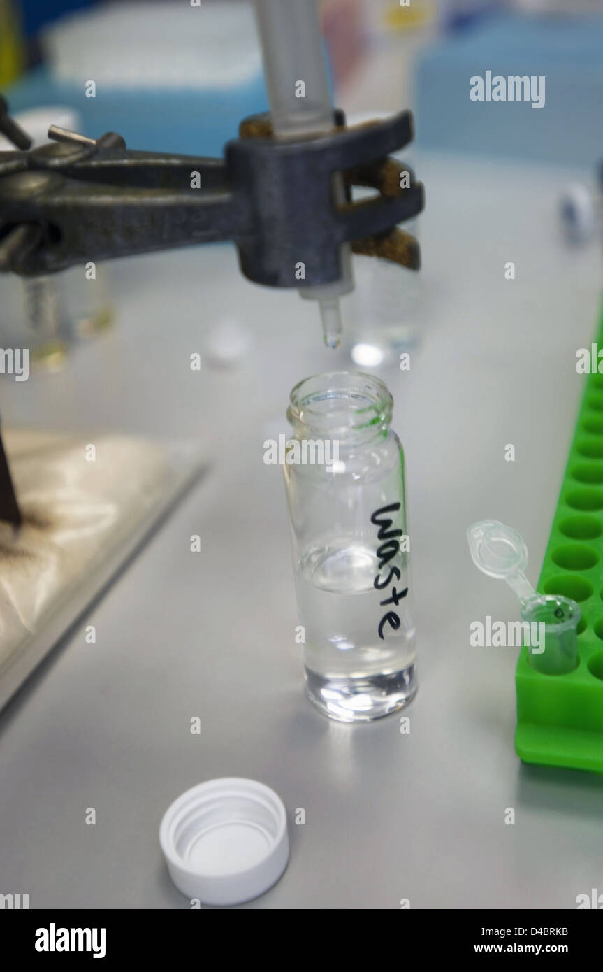 Prova batterica in corso - testato mediante scambio di tampone PVC Foto Stock