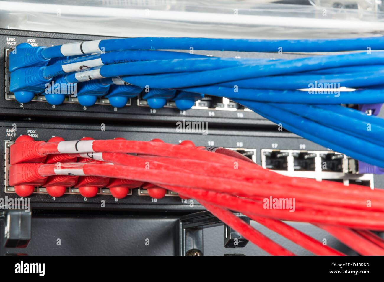Close-up di hub di rete e i cavi ethernet Foto Stock
