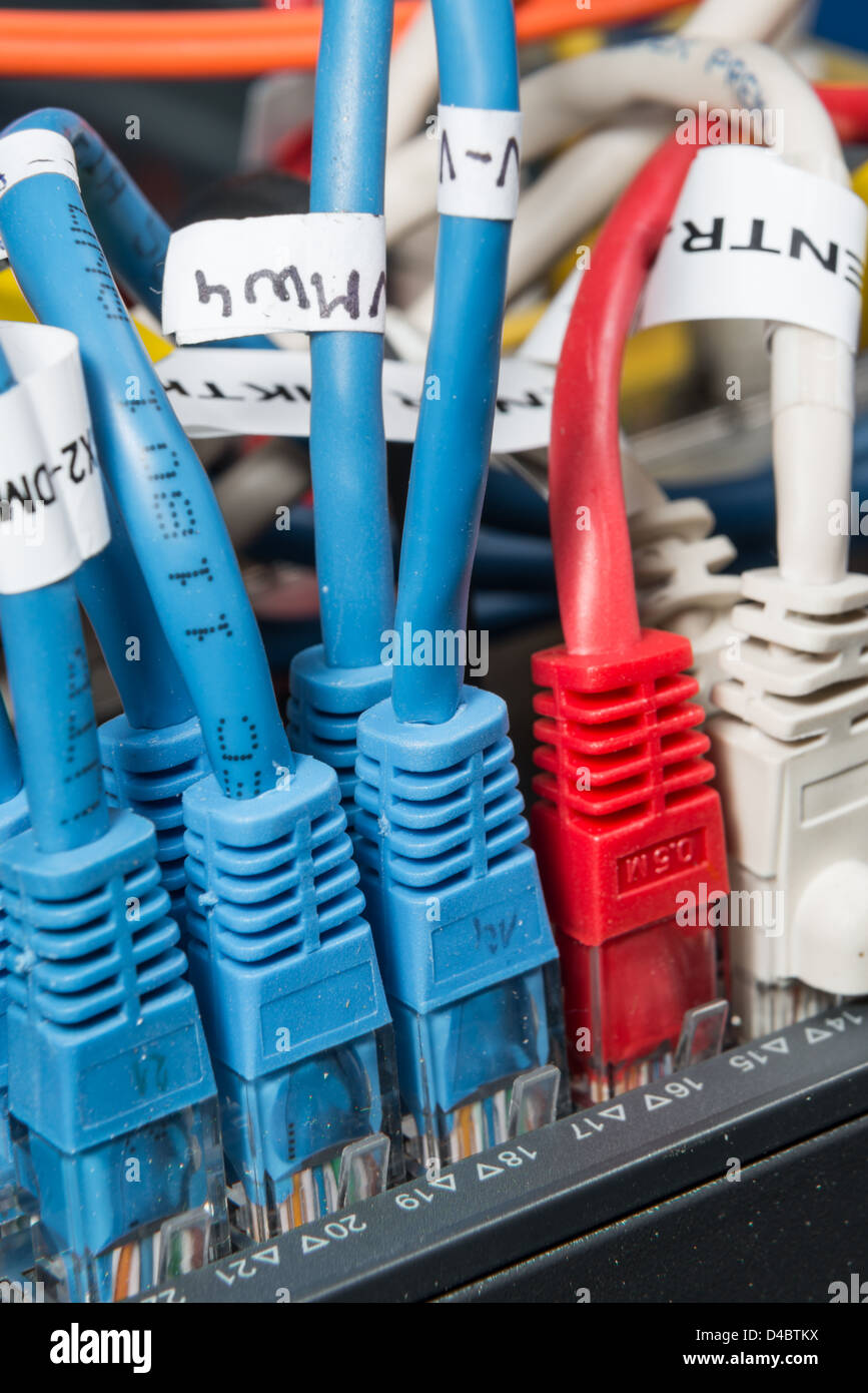 Close-up di hub di rete e i cavi ethernet Foto Stock