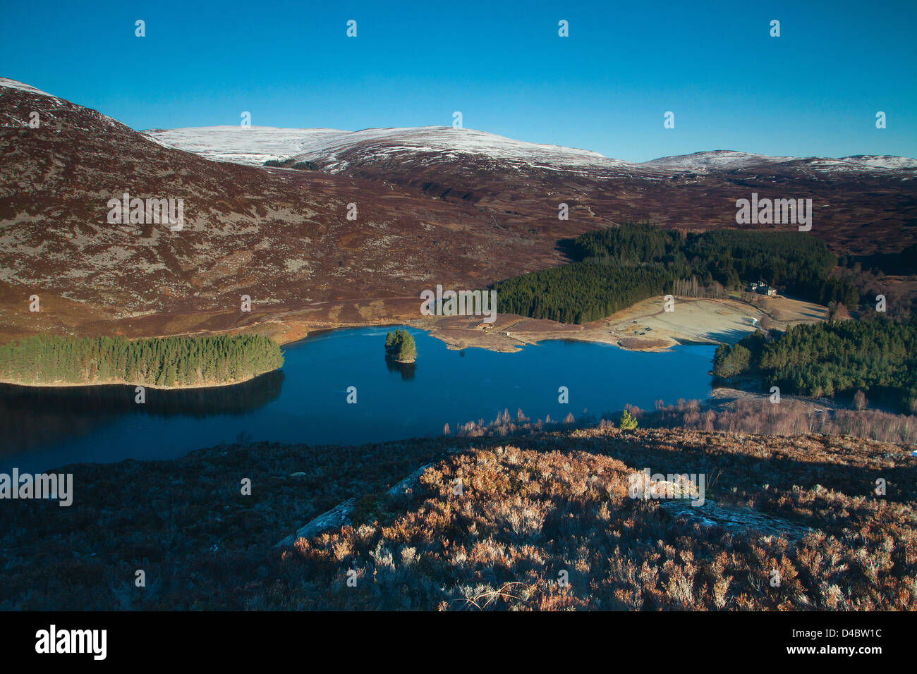 Loch Gynack da Creag Bheag sopra Kingussie, Cairngorm National Park, Highland Foto Stock