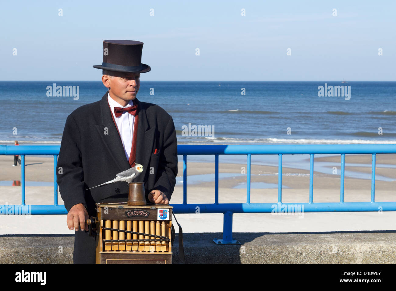 Kolobrzeg, Polonia, organo grinders sul lungomare Foto Stock