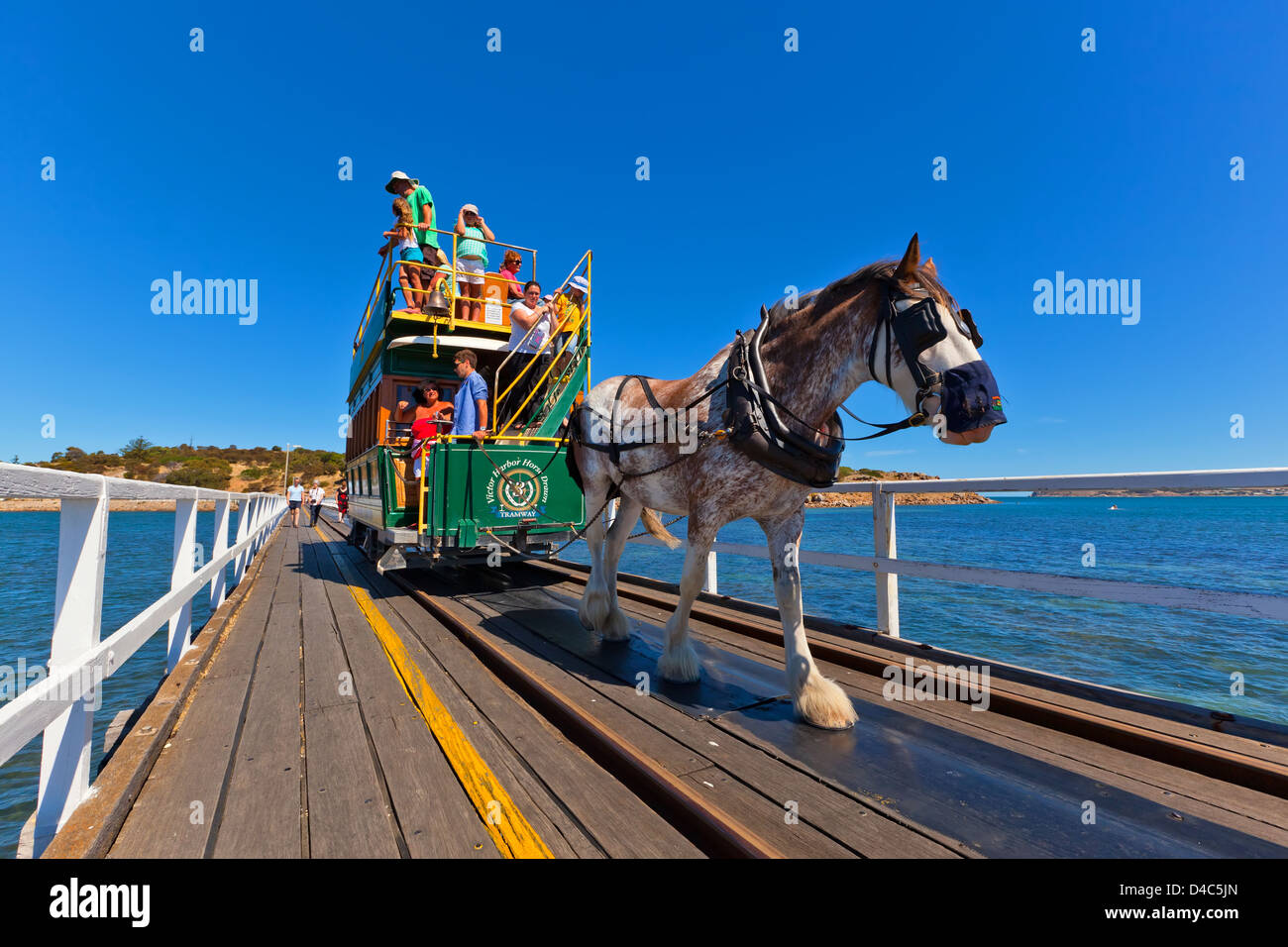Isola di granito cavallo e tram persone turismo turisti storico Clydesdale Victor Harbor Fleurieu Peninsula South Australia Foto Stock