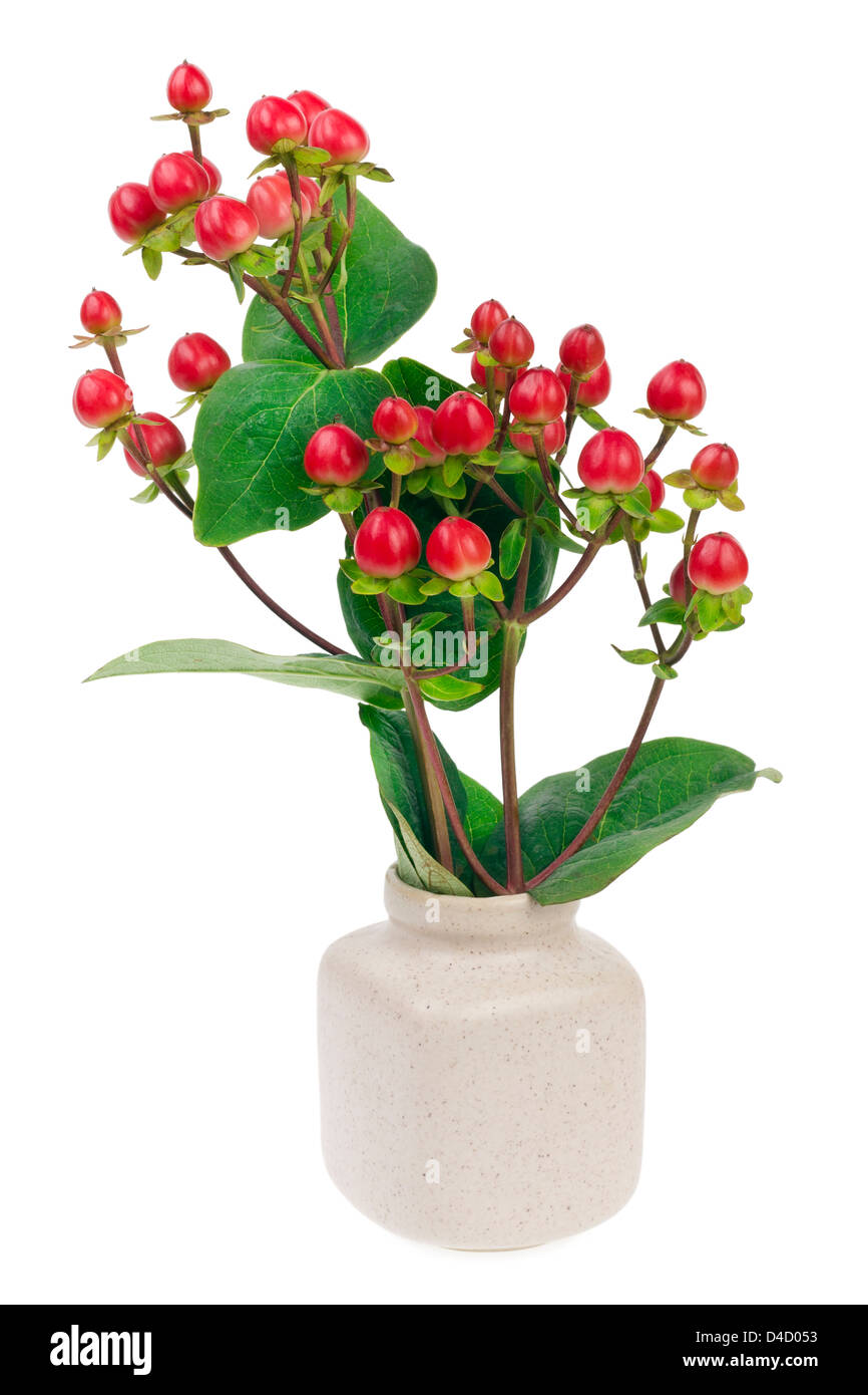 Bouquet minimalista numero 22 - mini bacche rosse sui rami verdi in vaso di ceramica vaso isolato Foto Stock