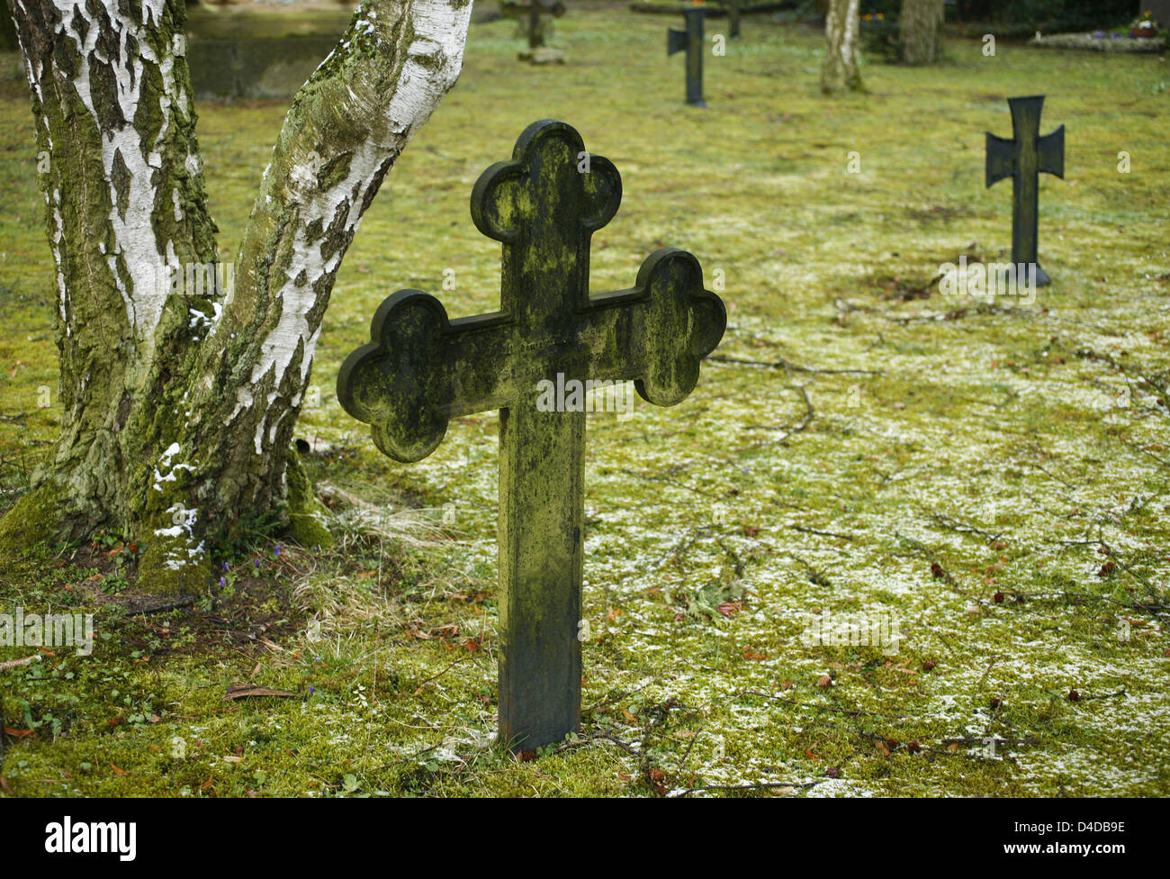 Moss ricoperta di croci di ferro sono raffigurato su un cimitero per i soldati in Francoforte sul Meno, Germania, 24 marzo 2008. Le croci commemorare i soldati che hanno perso la vita nelle guerre tra Francia e Germania nel XIX secolo. Foto: Wolfram Steinberg Foto Stock