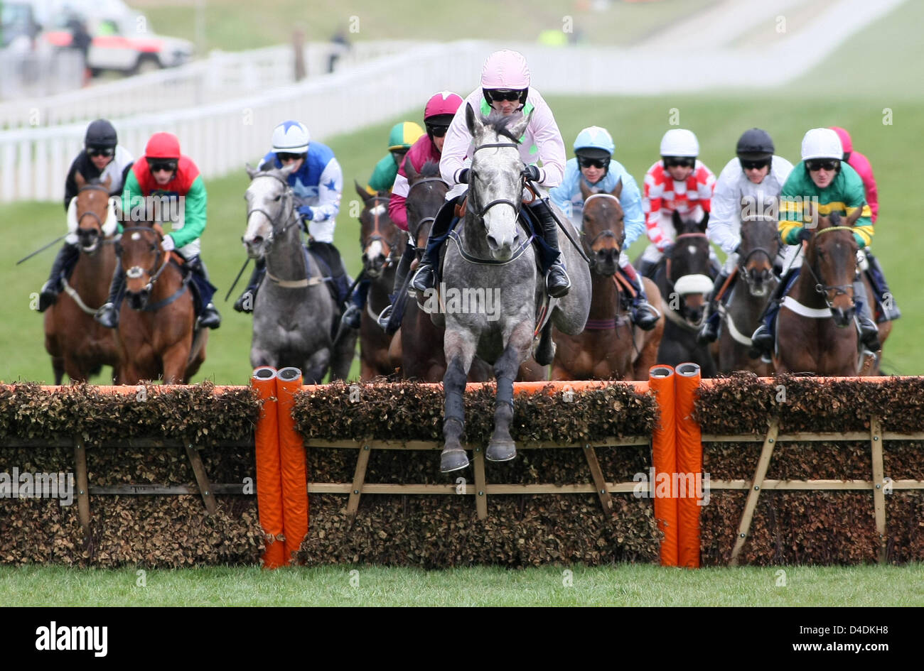 Cheltenham, Regno Unito. Xii Marzo 2013. La Febbre di Champagne cavalcato da Ruby Walsh conduce oltre il primo nel William Hill novizi supremo ostacolo al giorno uno (Campione giorno ) di Cheltenham nazionale Festival di suoneria. Credit: Azione Plus immagini di Sport / Alamy Live News Foto Stock