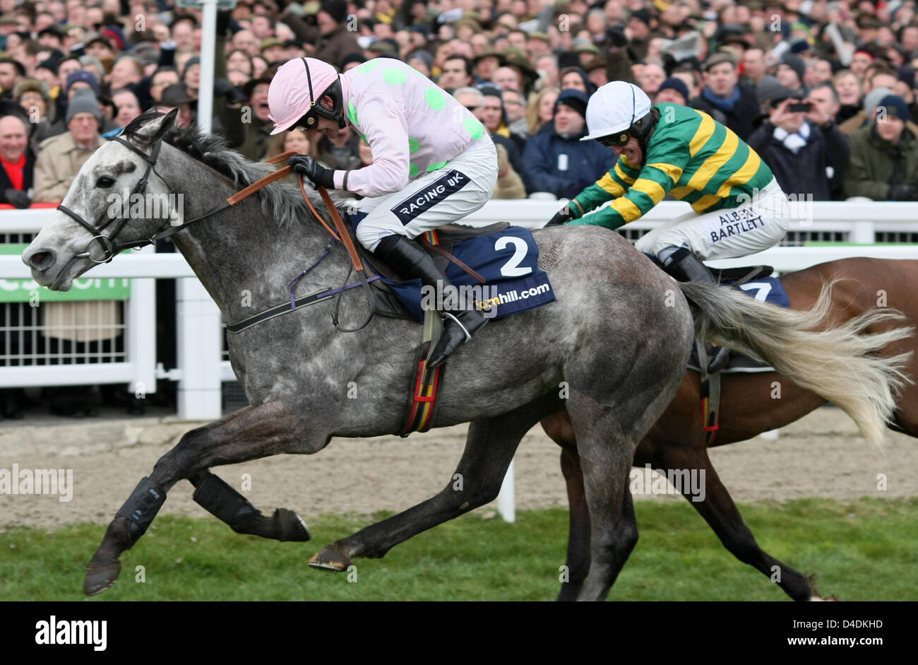 Cheltenham, Regno Unito. Xii Marzo 2013. La Febbre di Champagne cavalcato da Ruby Walsh conduce la mia tenda o della vostra cavalcato da AP McCoy sul modo di vincere la William Hill novizi supremo ostacolo al giorno uno (Campione giorno ) di Cheltenham nazionale Festival di suoneria. Credit: Azione Plus immagini di Sport / Alamy Live News Foto Stock