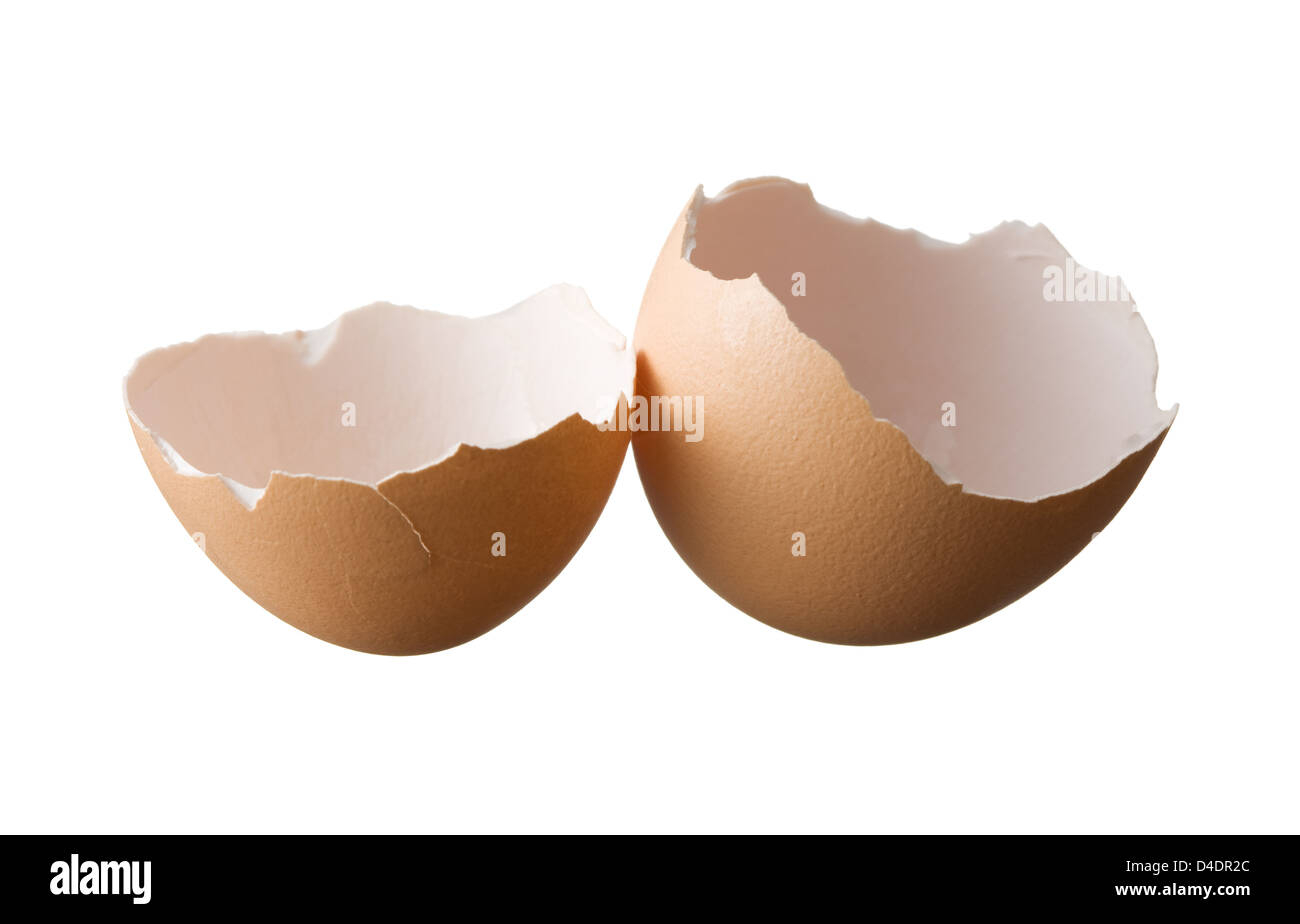 Guscio d'uovo isolato su sfondo bianco Foto Stock