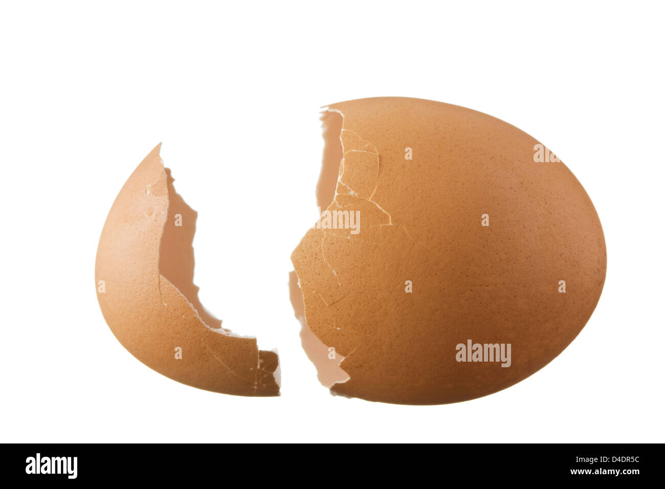 Guscio d'uovo isolato su sfondo bianco Foto Stock