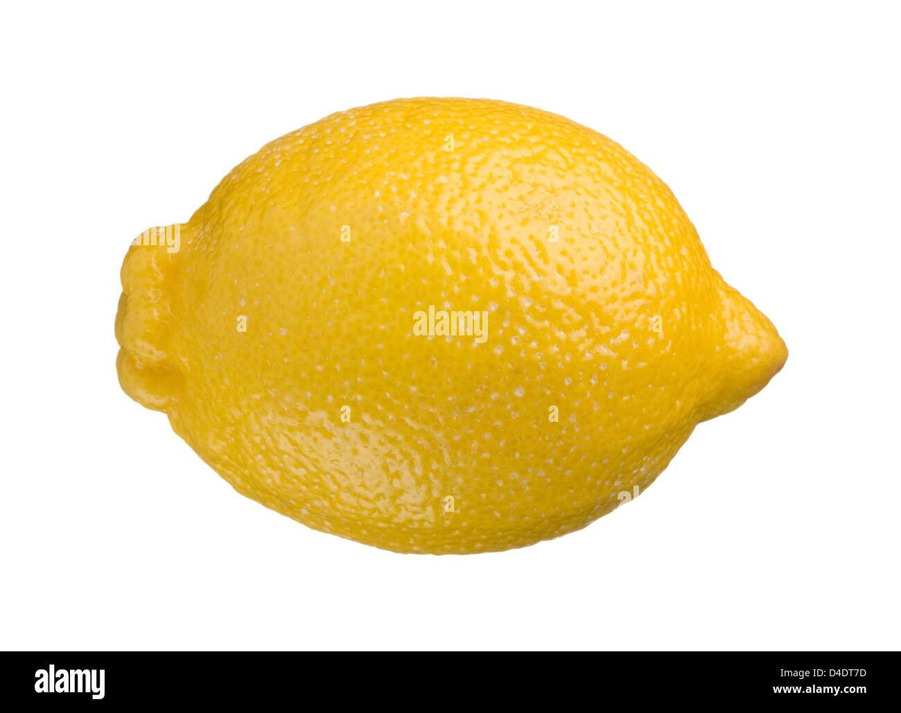 Un limone intero isolato su sfondo bianco Foto Stock