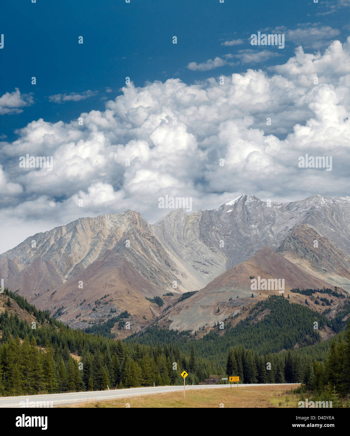 Autostrada in montagna, Alberta, Canada Foto Stock