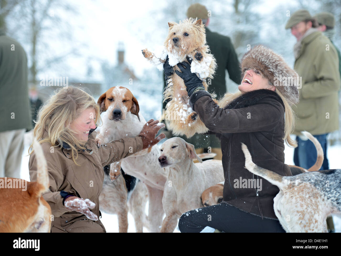 Due signore sollevare i loro Norfolk Terrier cane lontano da curiosi hounds nel corso di una riunione del Beaufort Hunt in Badminton Park J Foto Stock