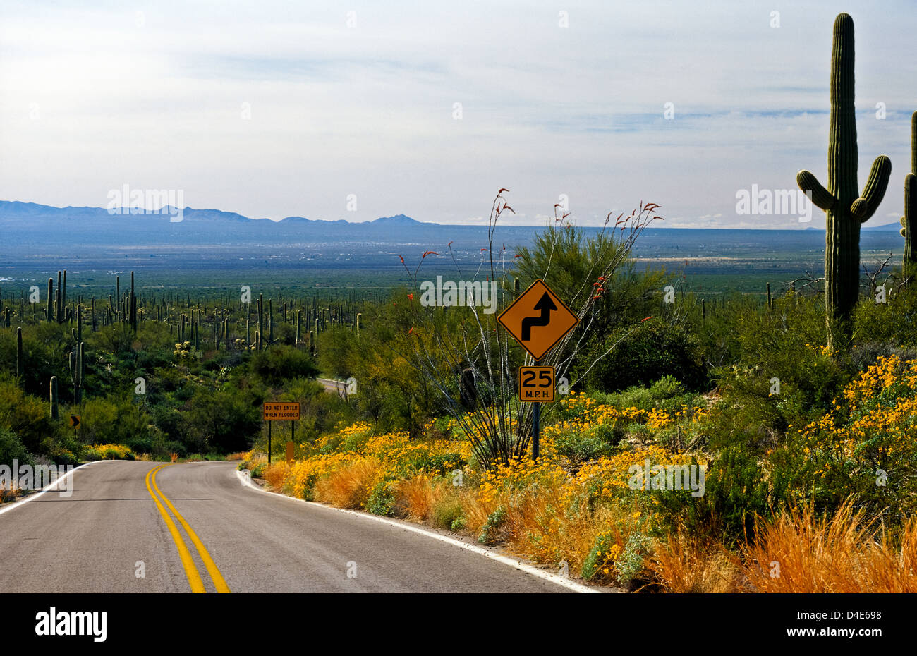 McCain Loop Road a ovest del centro cittadino di Tucson, AZ. Deserto Sonoran area. Stati Uniti d'America Foto Stock