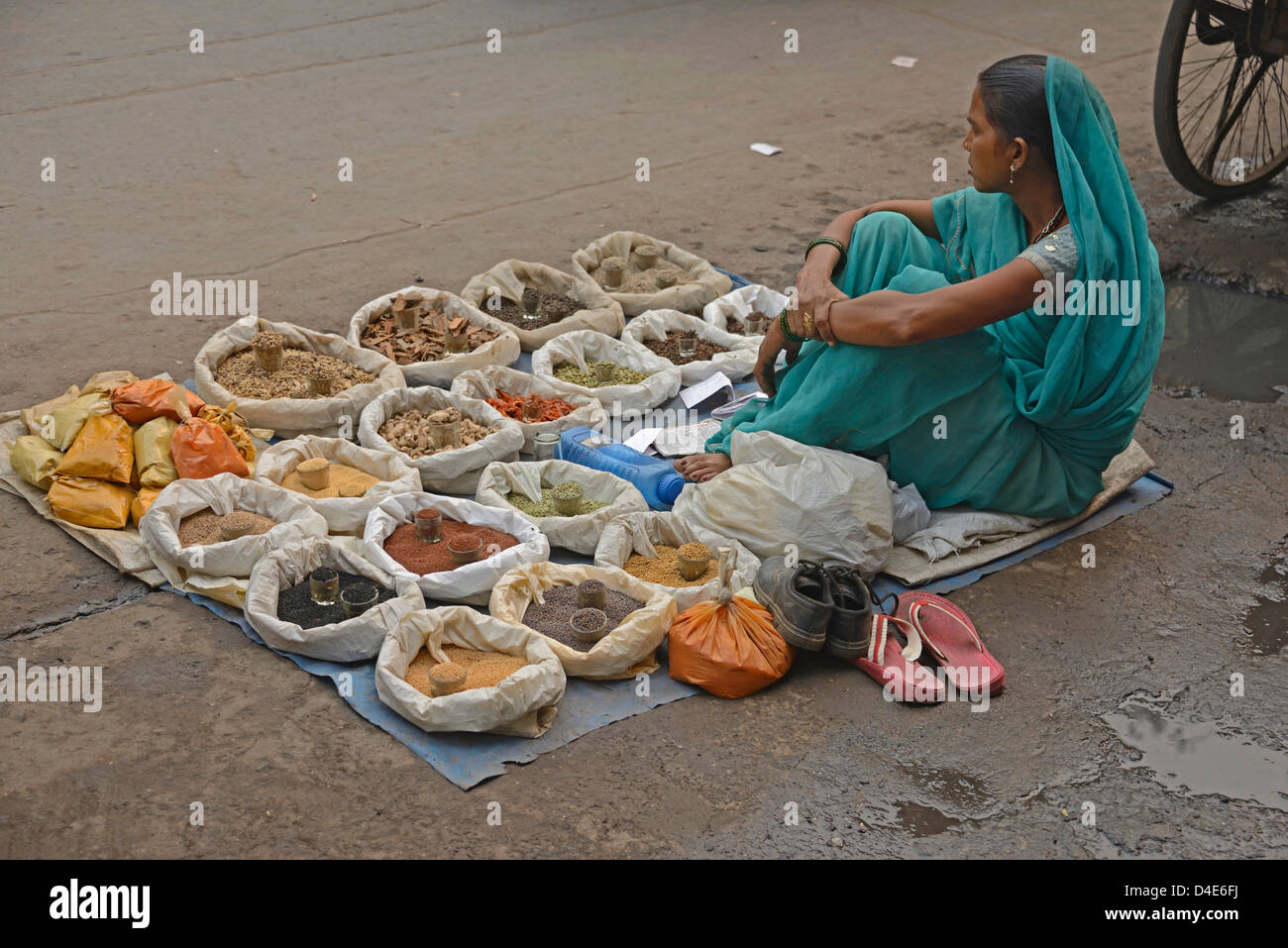 Una donna indiana che squatting per strada, vendendo alcune spezie, noci e peperoncini a Shahjahanabad, Chandni Chowk, Old Delhi, India Foto Stock