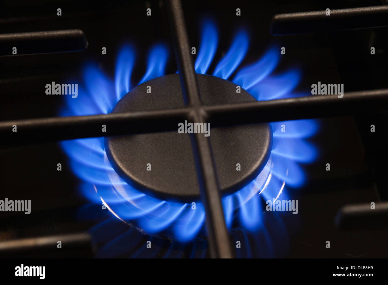 Fiamma blu di singola Lit bruciatore di gas ad anello sulla stufa TOP DI  GAMMA Foto stock - Alamy