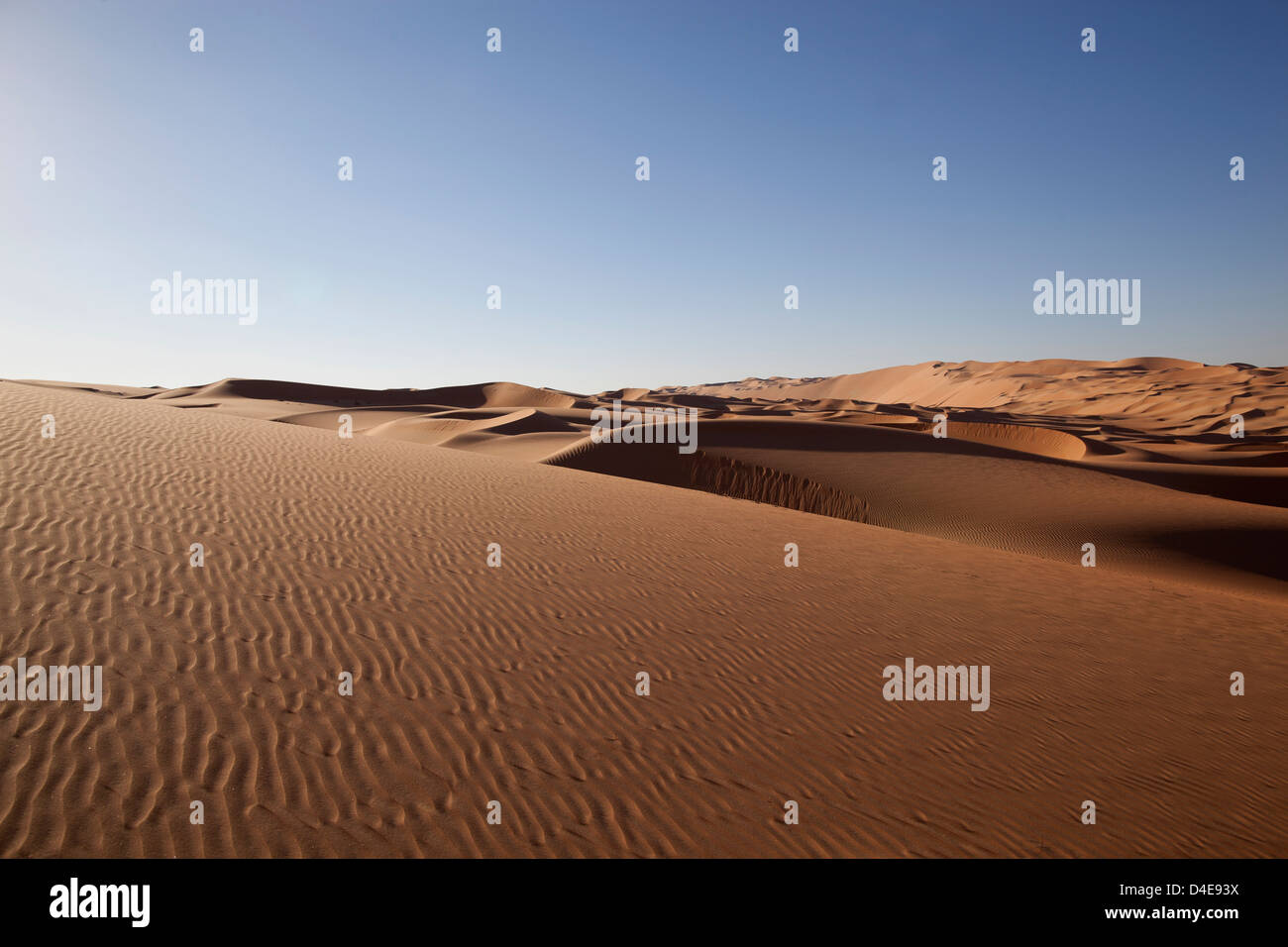 Dune di sabbia nel deserto a Liwa Oasis, Emirati Arabi Uniti Foto Stock