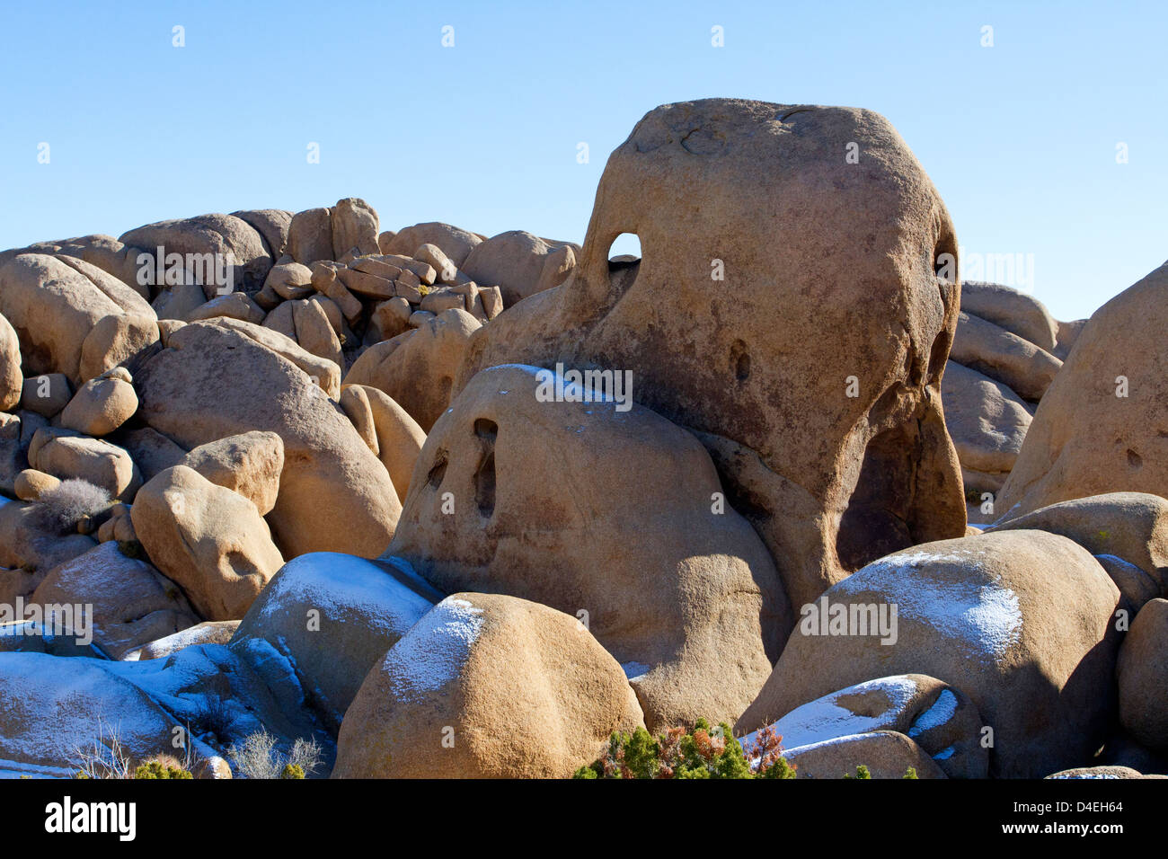 Singolare ed unica roccia di granito vicino a formazioni di roccia del cranio nel Parco nazionale di Joshua Tree, California USA nel mese di gennaio Foto Stock