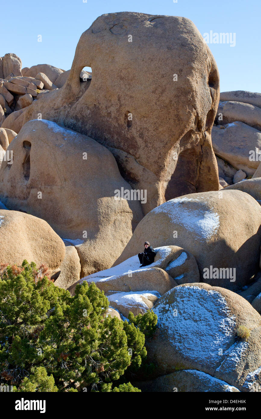 Singolare ed unica roccia di granito vicino a formazioni di roccia del cranio nel Parco nazionale di Joshua Tree, California USA nel mese di gennaio Foto Stock