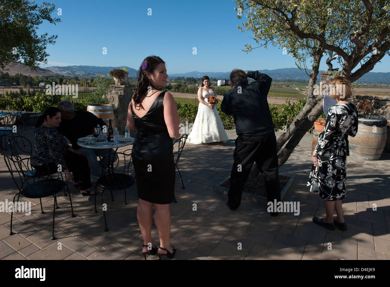 A Sonoma, USA, Wedding photography presso la tenuta di una cantina nella Napa Valley Foto Stock