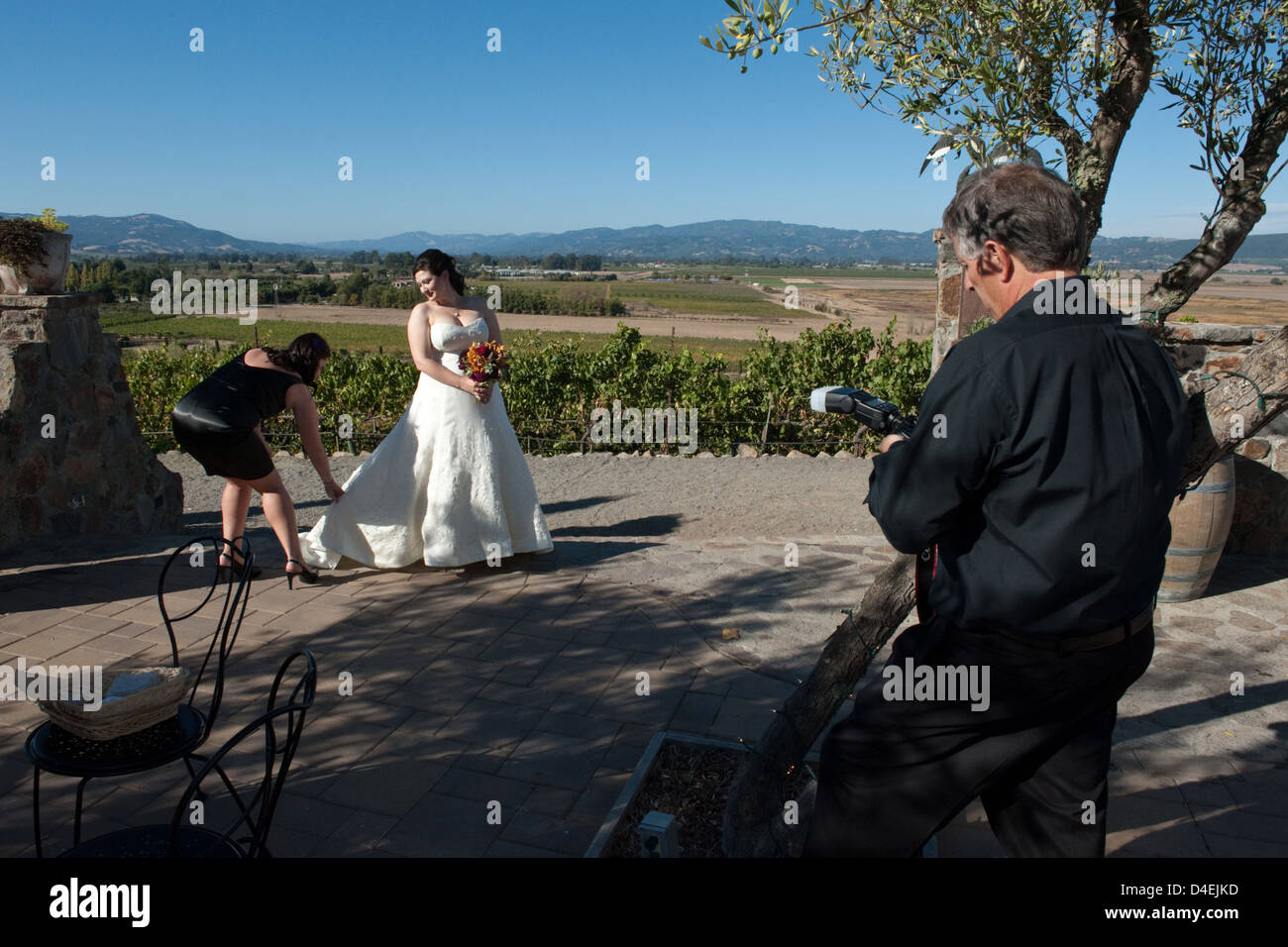 A Sonoma, USA, Wedding photography presso la tenuta di una cantina nella Napa Valley Foto Stock