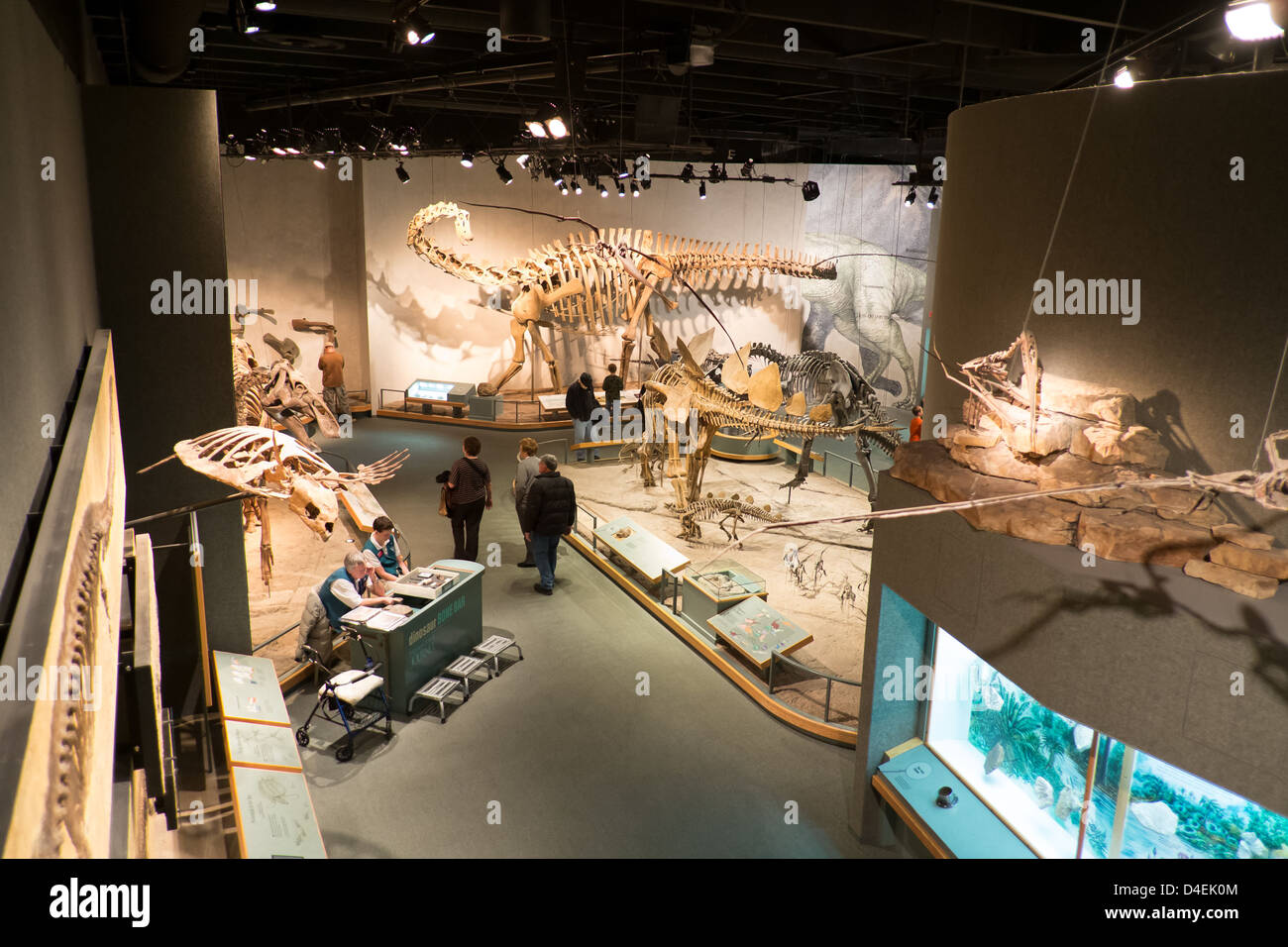 Denver del Museo Nazionale della Scienza e Natura si trova a Denver parco della città. Foto Stock