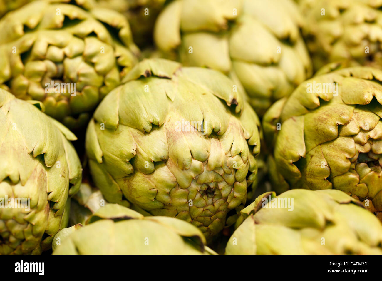 Berlino, Germania, i carciofi a Fruit Logistica 2011 Foto Stock