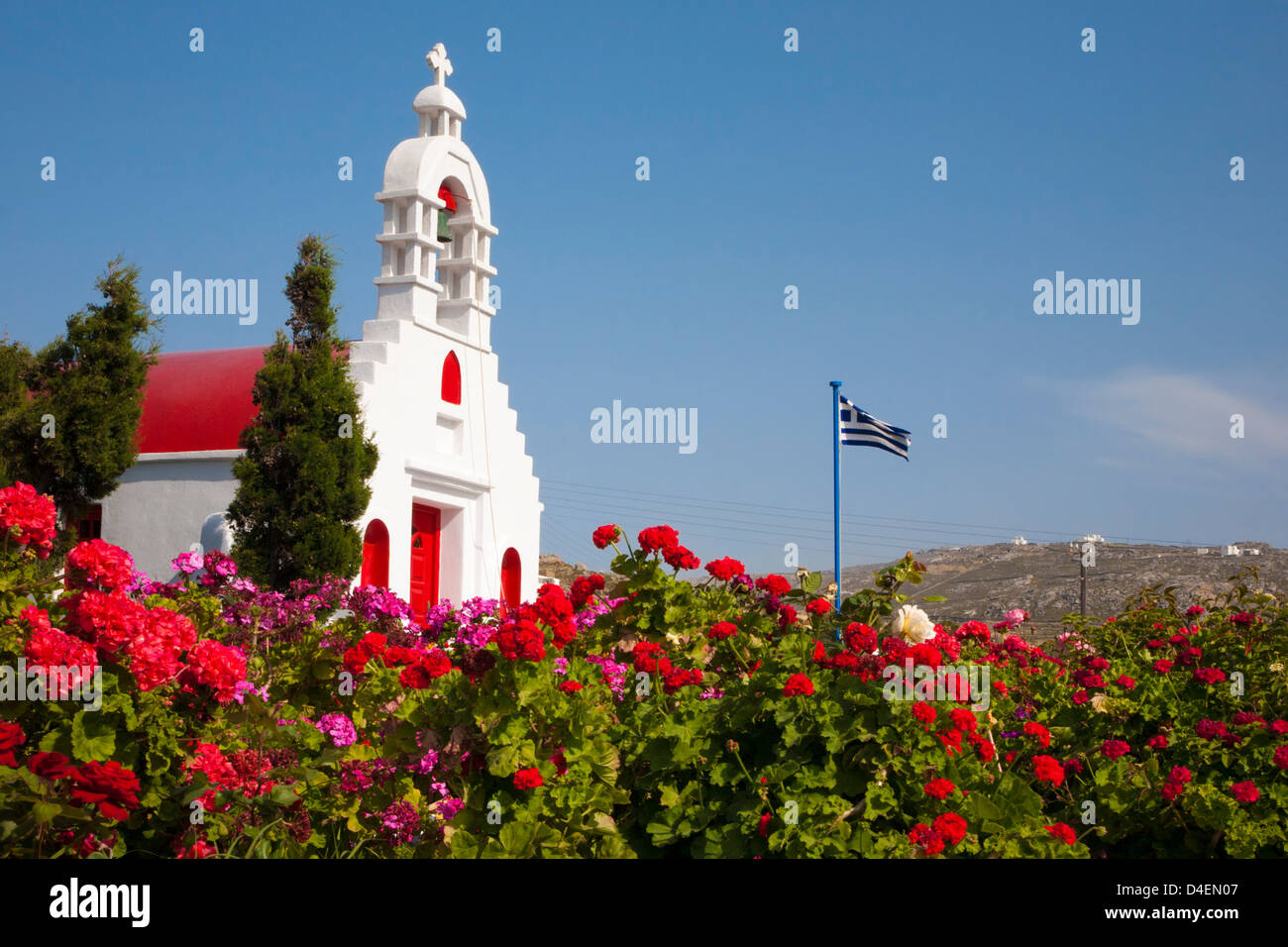 Piccola cappella greca con campanile e bandiera greca circondata da giardino con gerani nella campagna dell'isola di Mykonos in primavera Foto Stock