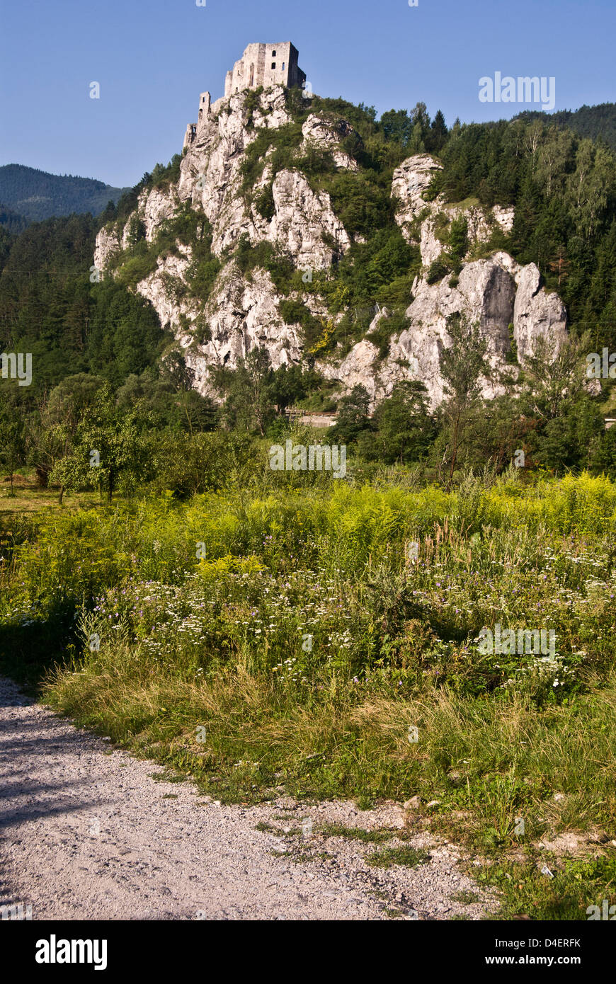 Rovine del Castello di Strecno sulla collina rocciosa al di sopra vah hill in mala fatra montagne in Slovacchia con prato e cielo chiaro Foto Stock
