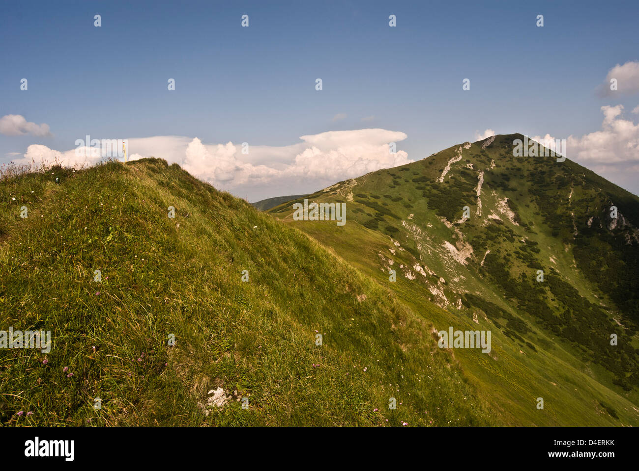 E pekelnik Velky Krivan colline in estate krivanska Mala Fatra mountain range in Slovacchia Foto Stock