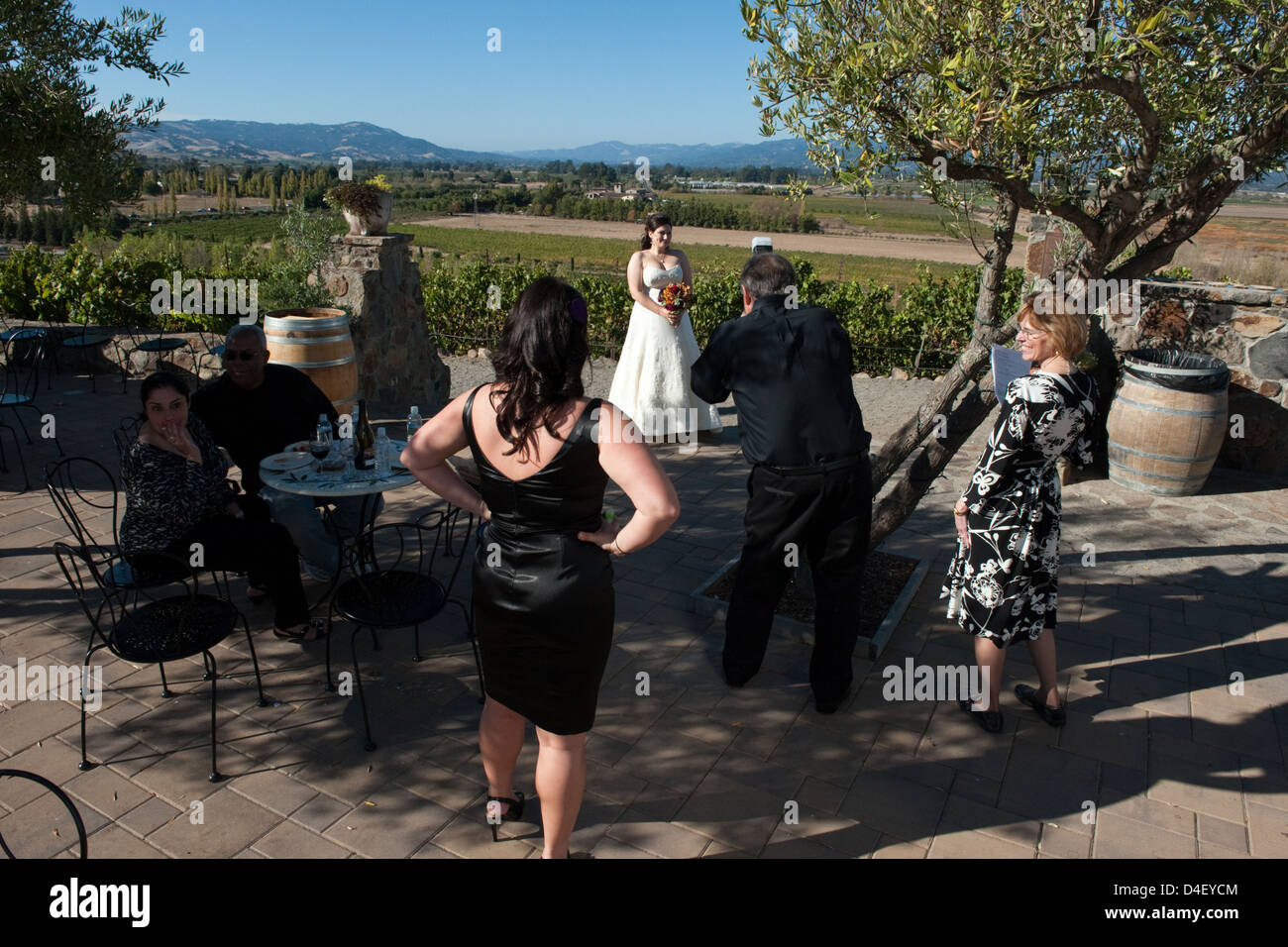 A Sonoma, USA, Wedding photography presso la tenuta di una cantina nella Napa Valley Foto Stock