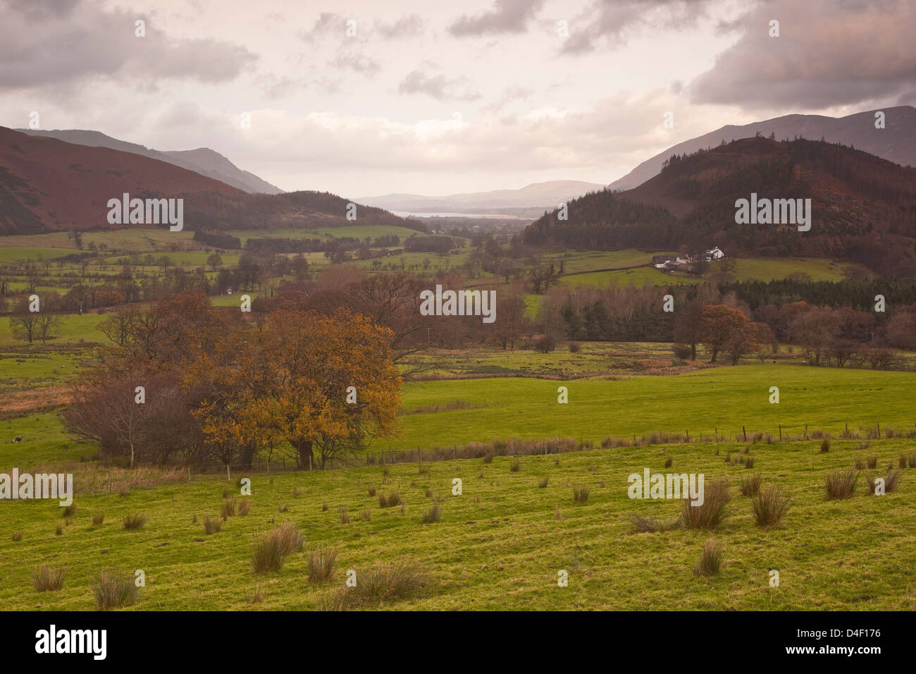 Il parco nazionale del Lake District vicino a Keswick in Cumbria. Foto Stock