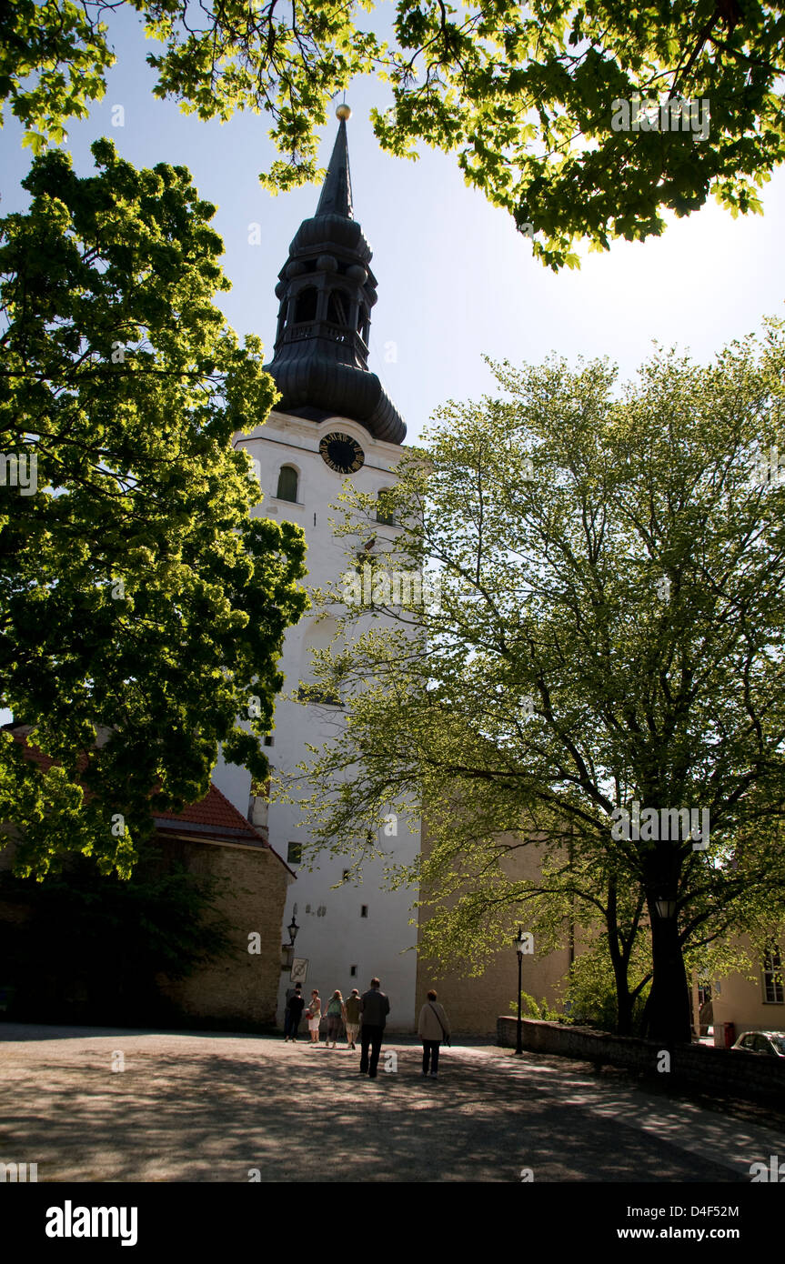 Cattedrale di Santa Maria la Vergine sulla collina di Toompea nella Città Vecchia di Tallinn, Tallinn, Estonia, Stati baltici. La Cattedrale è la chiesa più antica di Tallinn e. Foto Stock