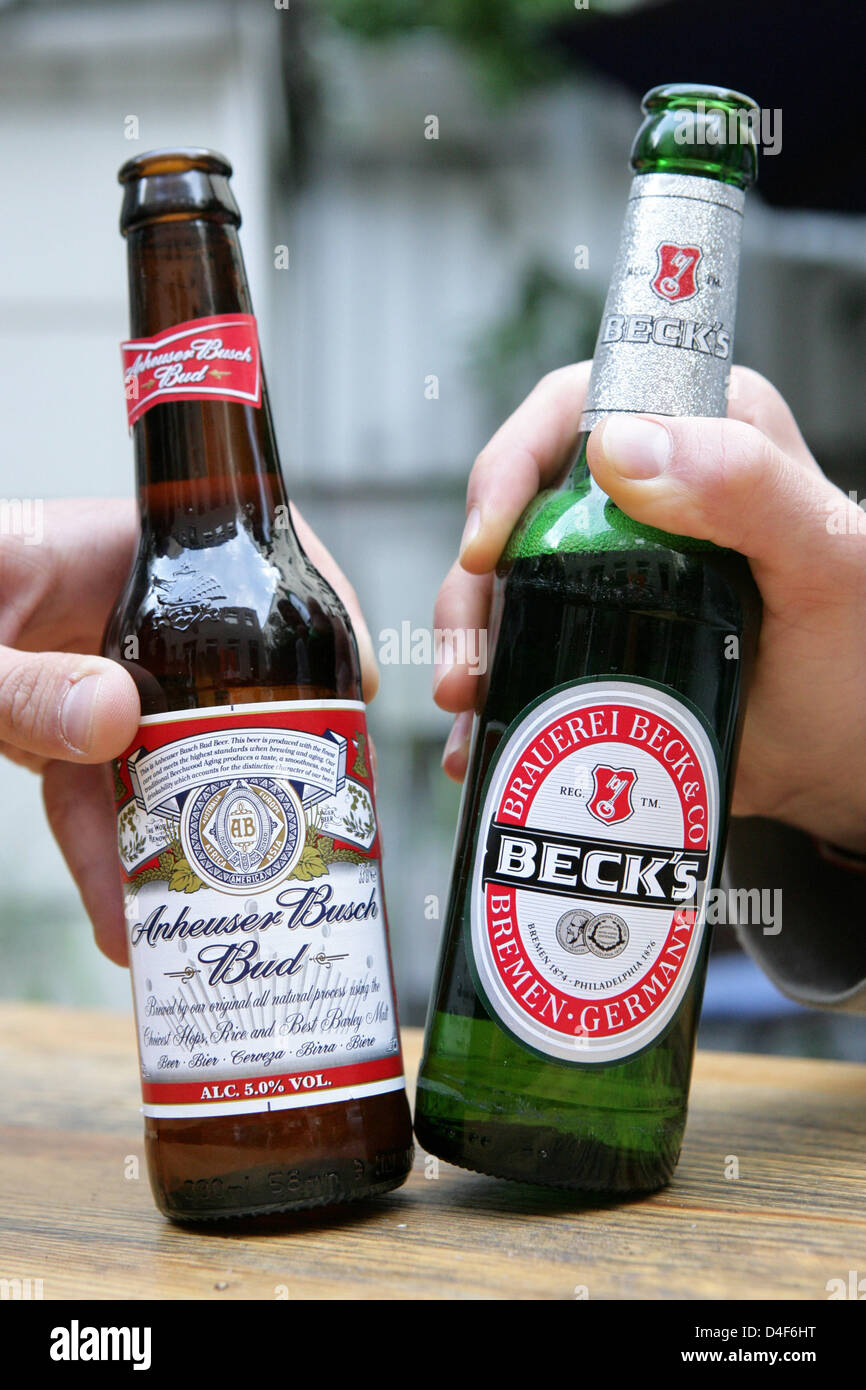 Una bottiglia di birra noi "Bud" della Anheuser-Busch Brewery è raffigurato accanto ad un "Becks" Bottiglia di birreria belga InBev ad Amburgo, Germania, 12 giugno 2008. InBev prevede di prendere in consegna la Anheuser-Busch per 46 miliardi di dollari per diventare il più grande del mondo di birreria. Foto: Bodo segna Foto Stock