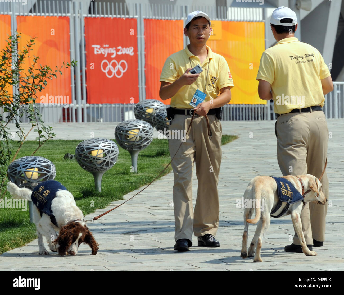 Le forze di sicurezza con rilevamento esplosivi cani ricerca nell'area di fronte lo Stadio Nazionale di Pechino, Cina, 02 agosto 2008. La prova generale per la cerimonia di apertura della XXIX Giochi Olimpici si svolgerà presso lo stadio nella serata del 02 agosto 2008. Foto: Peer Grimm Foto Stock