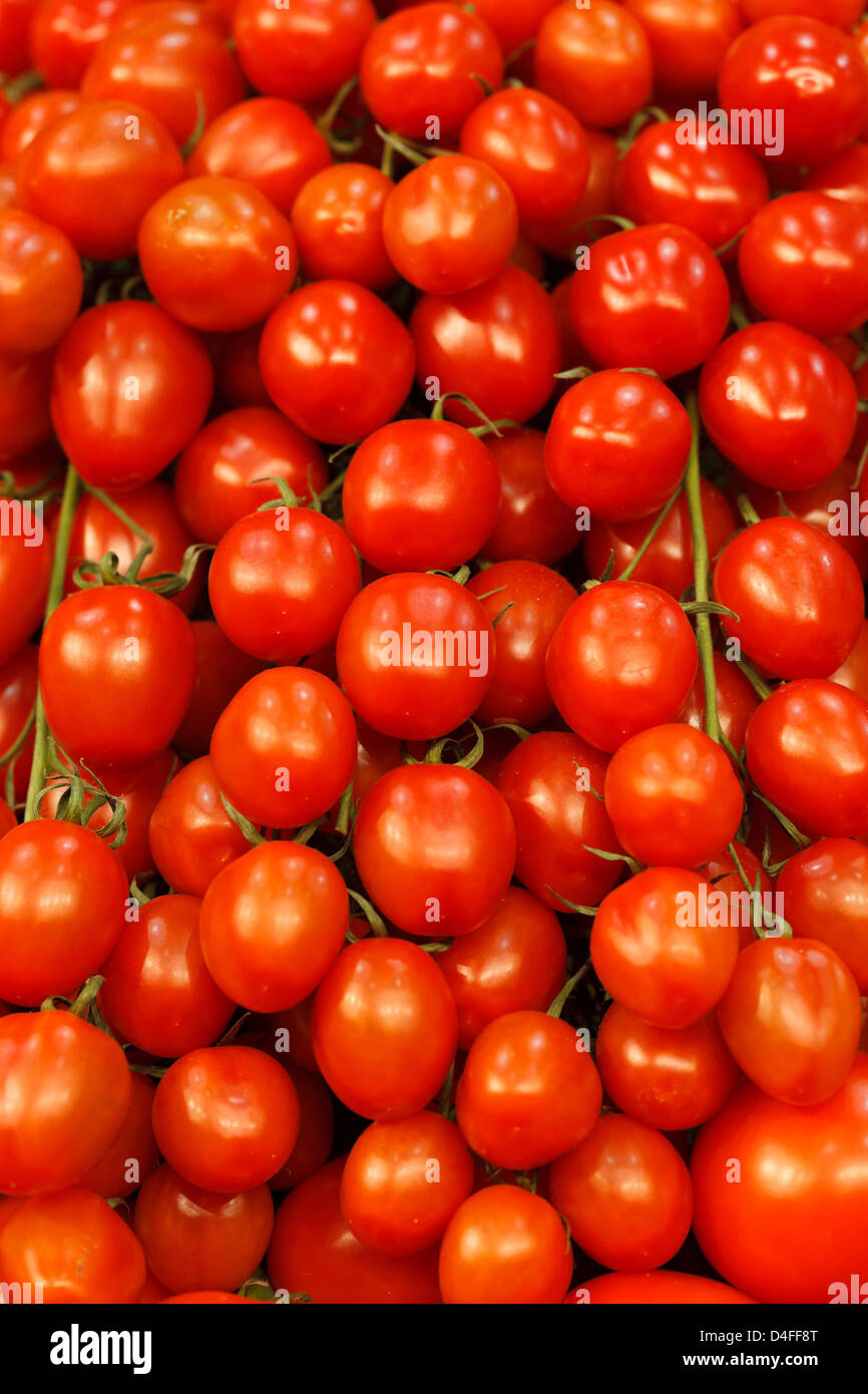 Berlino, Germania, pomodori a grappolo a Fruit Logistica 2011 Foto Stock